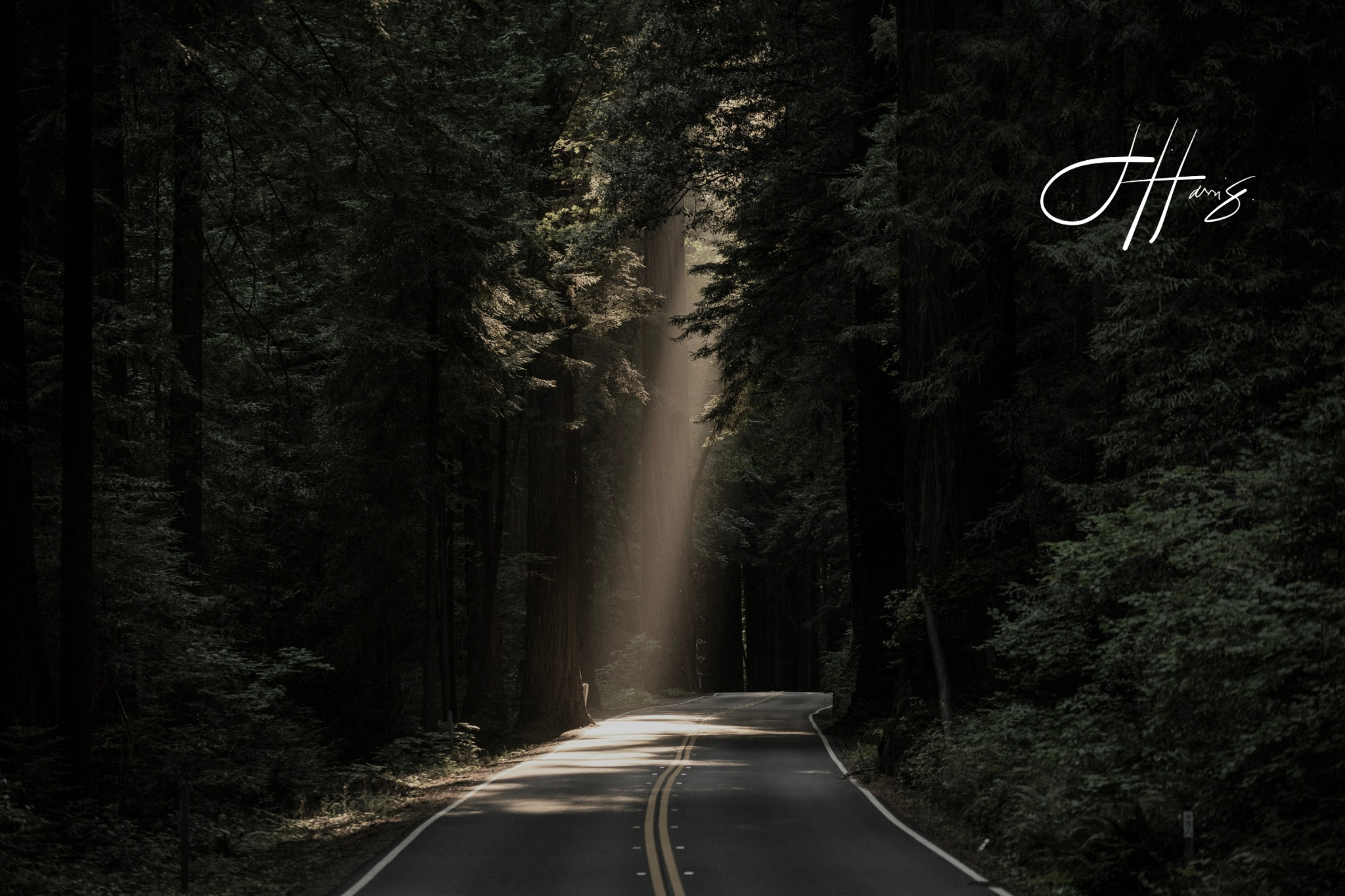 The Best Guitarist Gift T-Shirts for Birthdays, Holidays and Tour Send-Offs