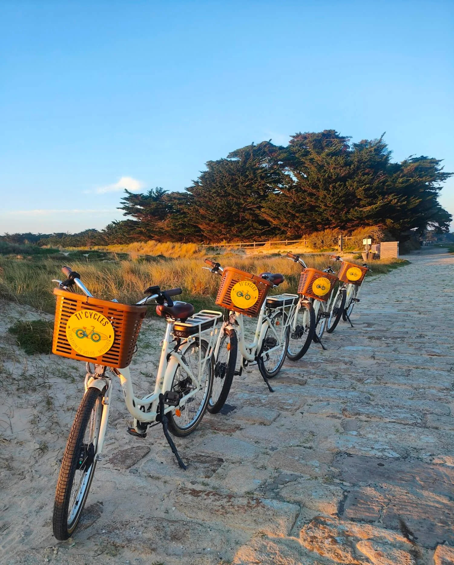 Quatre vélos blancs avec paniers en bois orange, stationnés sur un chemin en pierre sur la plage, au coucher du soleil, avec des dunes de sable, de l'herbe et des arbres en arrière-plan.