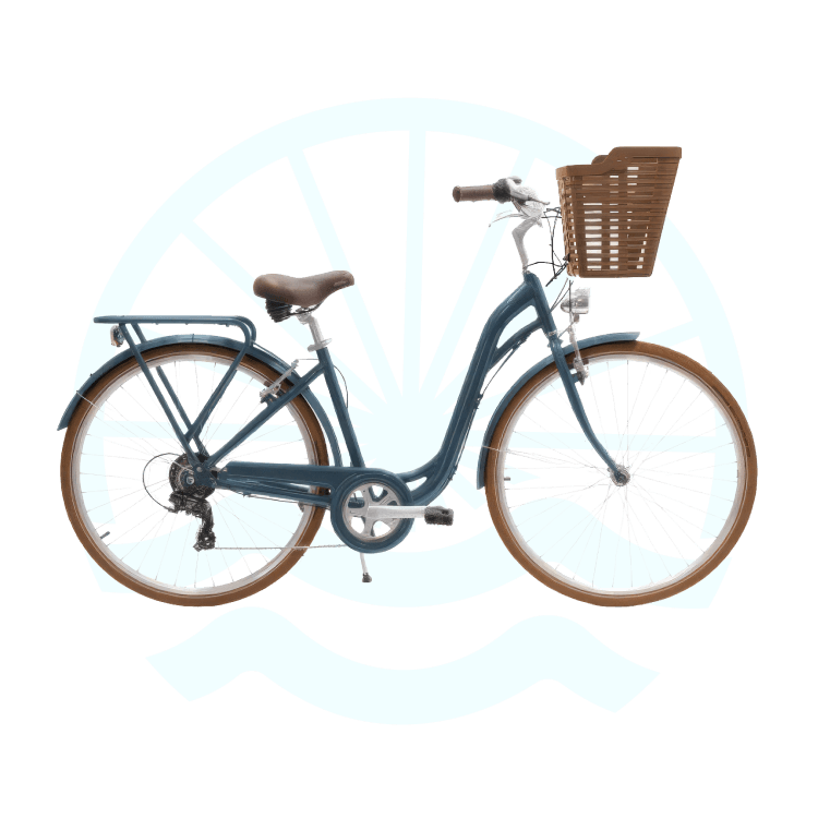 velo-ville-charleston-28-mesquer