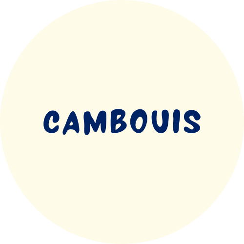 logo avec le mot 'CAMBOUIS' écrit en lettres bleues sur fond blanc
