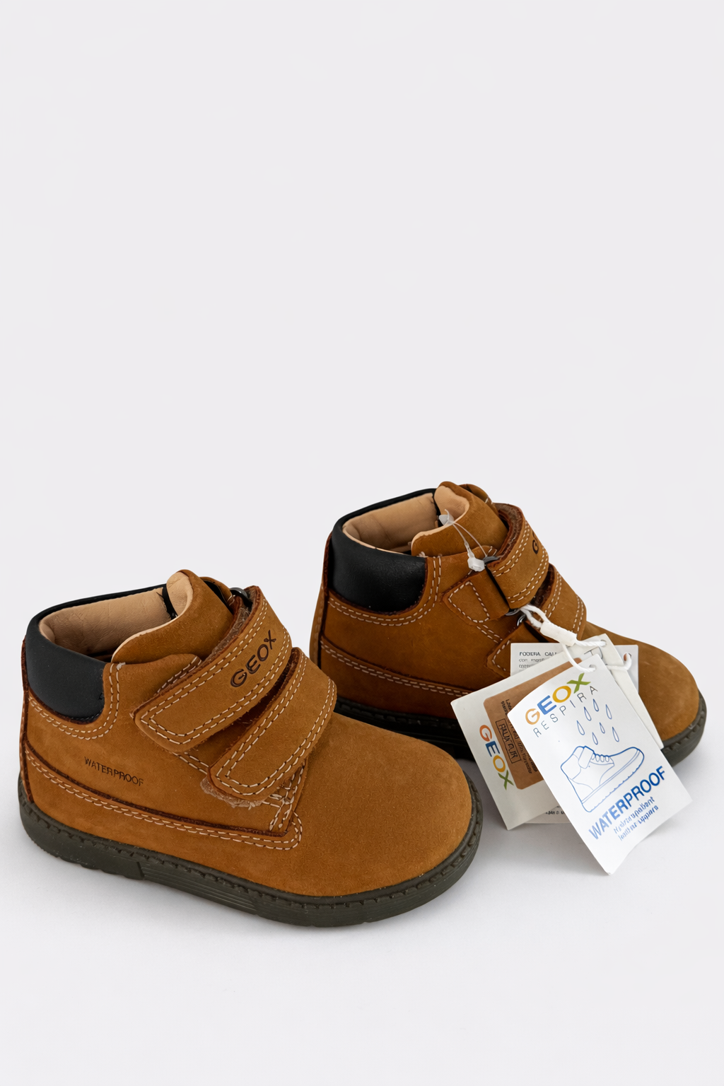 ChatGPT Image Feb 19, 2026, 11_17_39 AM.png