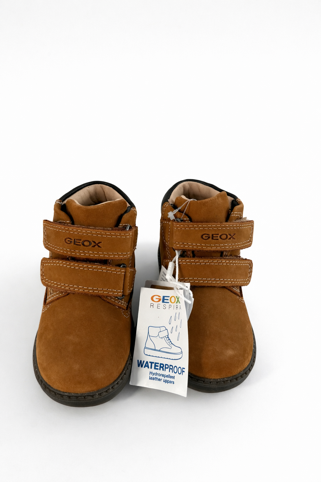 ChatGPT Image Feb 19, 2026, 11_00_43 AM.png