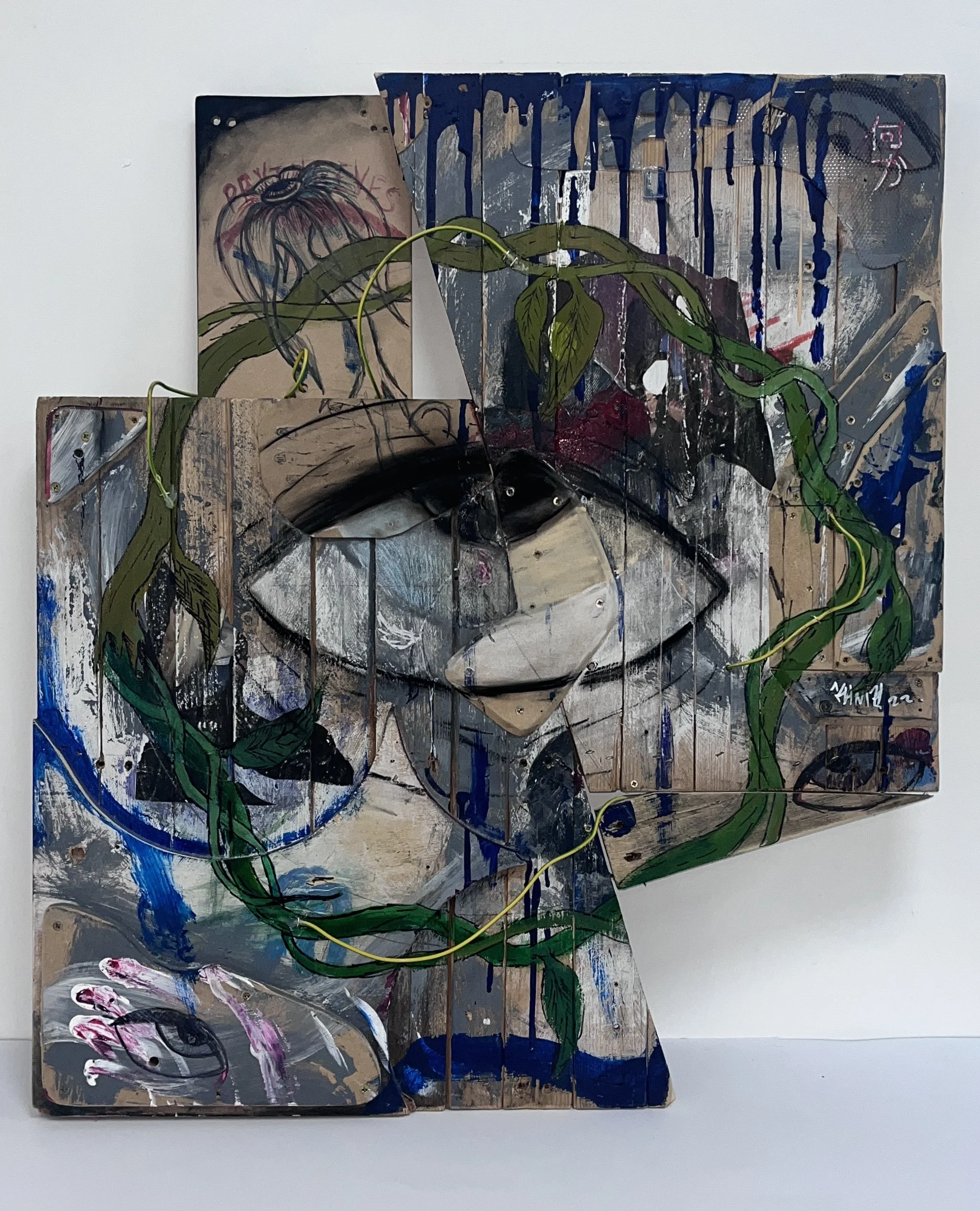 Mixed-media artwork on wooden panels featuring an eye at the center, surrounded by green vines, abstract paint splatters, and sketches of flowers and hands.