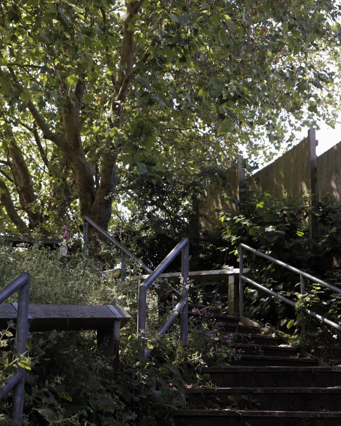 Reading - Natures Takeback