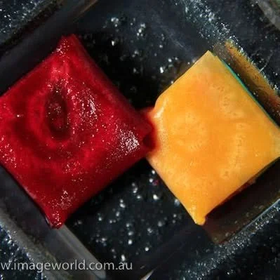 Red and Golden Beet PIllows