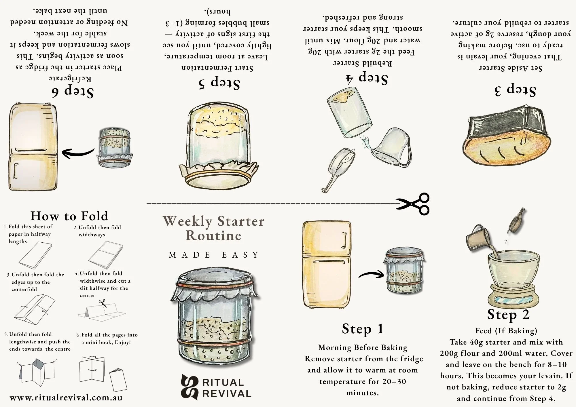 Sourdough Starter Zine (1).jpg