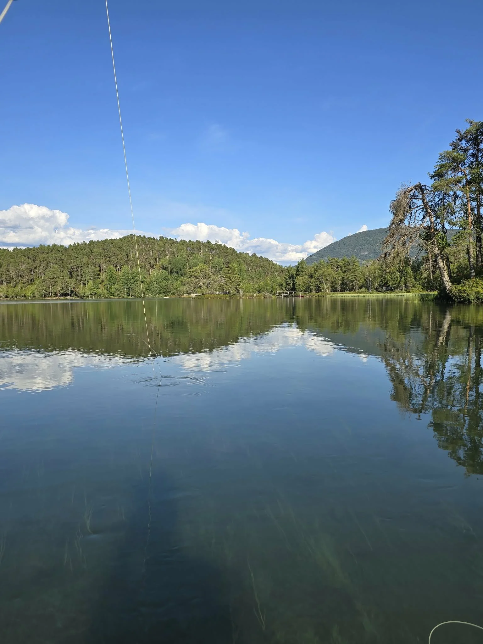 Bilde av en rolig innsjø omgitt av grønne trær og fjell under en blå himmel med noen skyer.