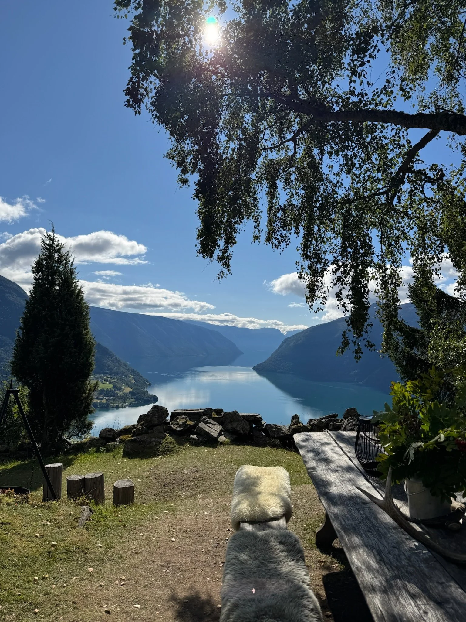 Utsikt over en innsjø omgitt av fjell, sett fra en utsiktspunkt med en benk dekket av saueskinn, en stor tre, steiner, og et tre med blader som dekker deler av himmelen, med solskinn og noen skyer i himmelen.