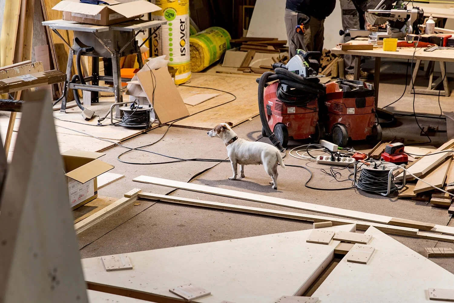 photo-chantier-chien.jpg