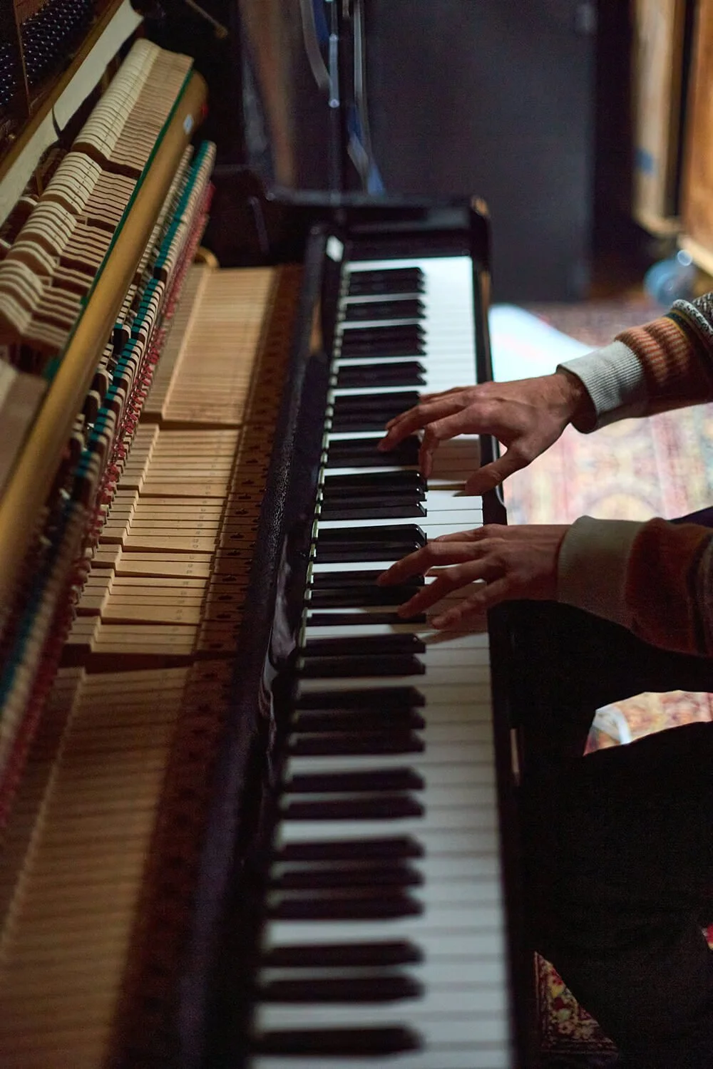 Une personne joue du piano, vue de dessus, avec les mains sur le clavier. Le piano a ses mécanismes visibles avec des marteaux et des cordes. La scène se déroule dans une pièce avec un tapis au sol.
