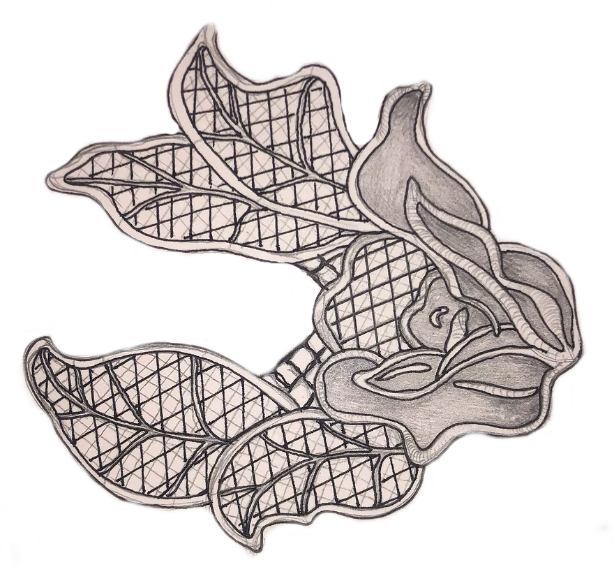 Illustration of a flower with detailed petals and leaves, showing intricate line work and shading.