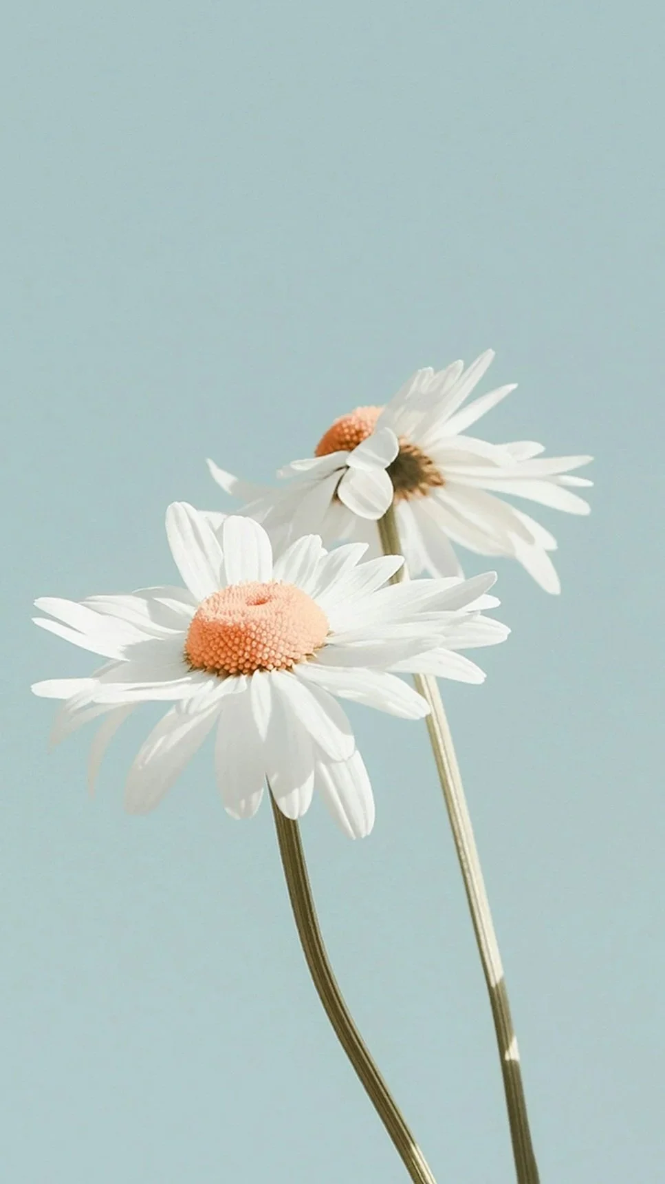 What if resilience isn't always a good thing?