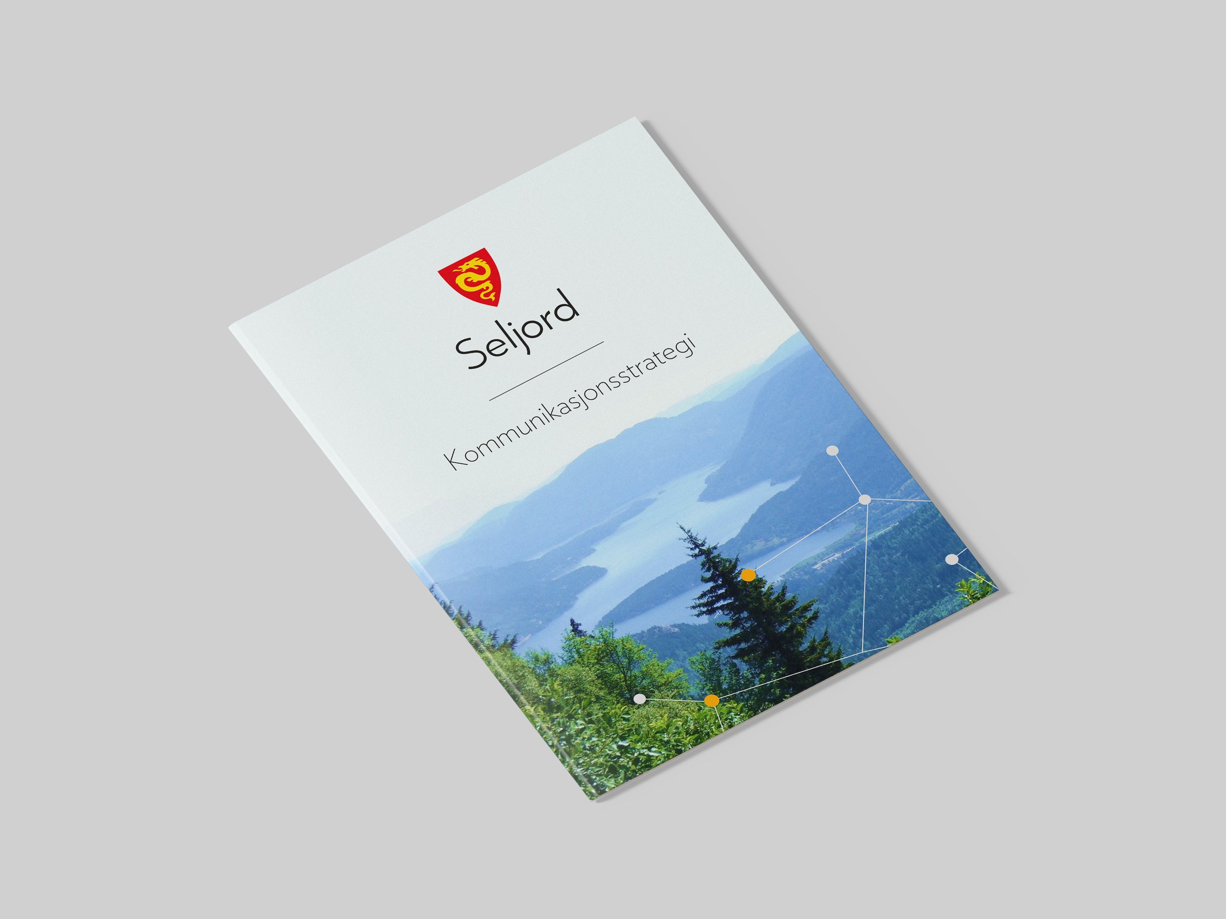 Kommunikasjonsstrategi og rapport om fremtidig eldreomsorg for Seljord kommune