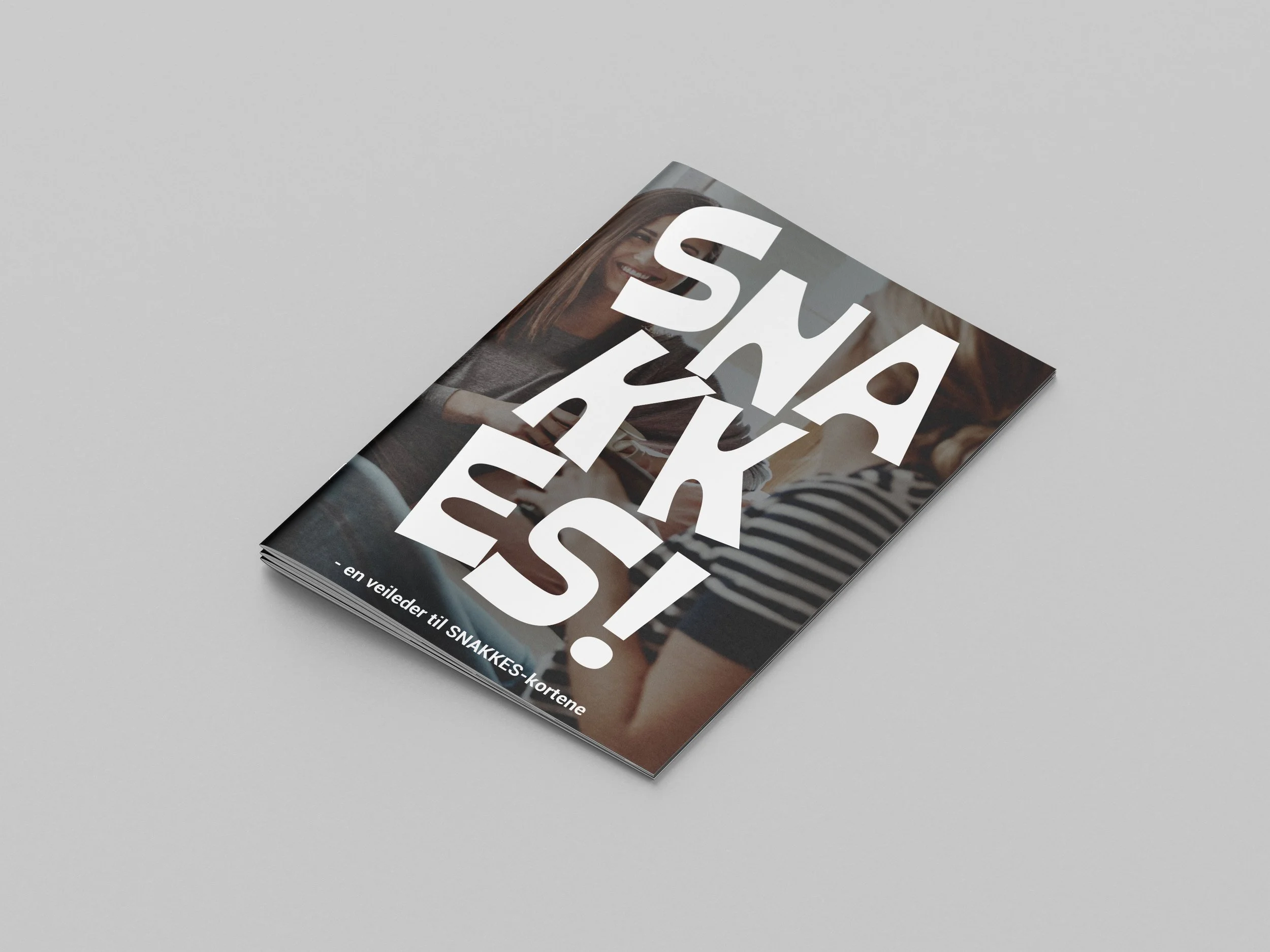 MockUp veiledning.jpg