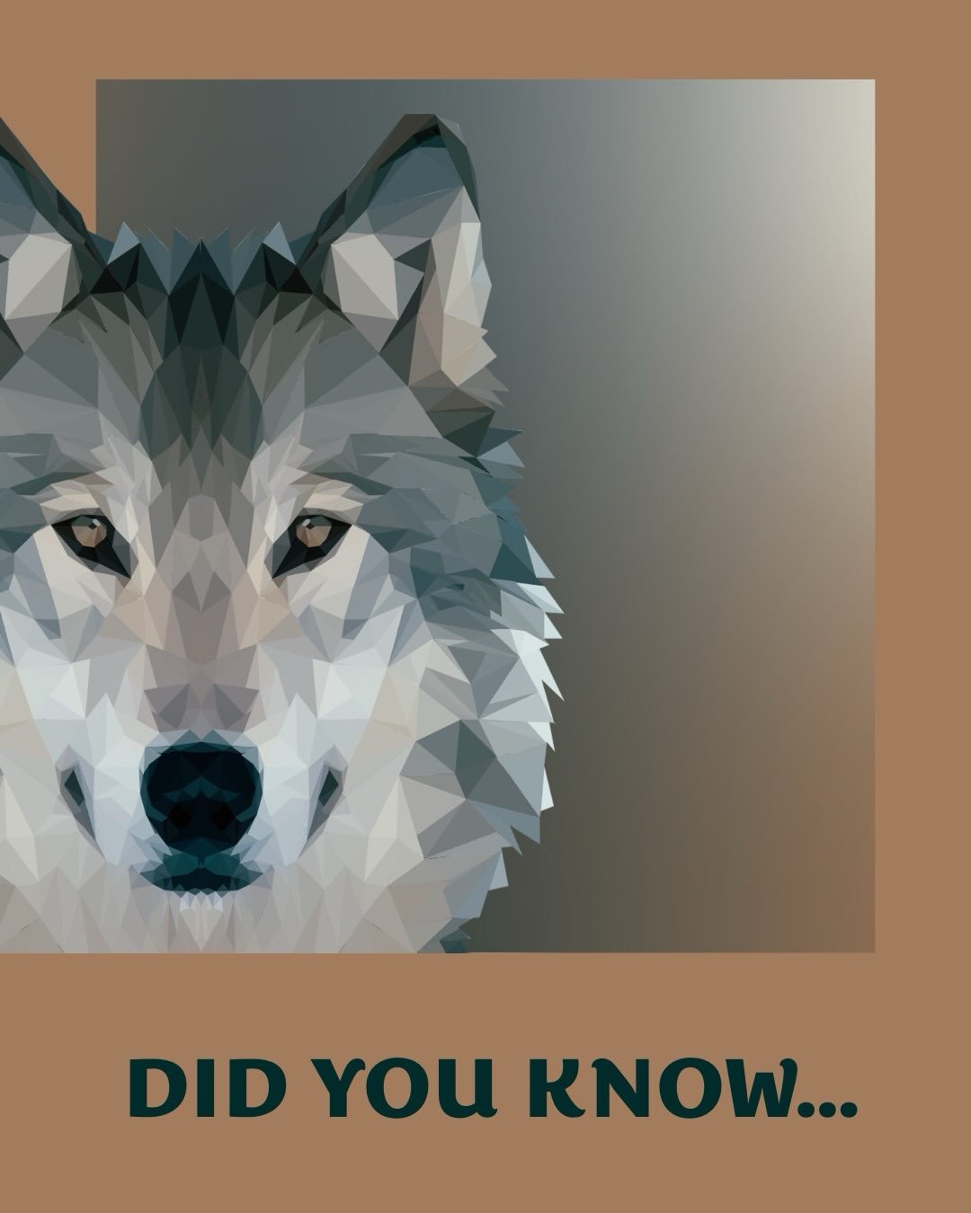 My proudest creative accomplishment, I will never not be proud of this work. Not only did it give me a wonderful creative outlet, but it gave me the chance to learn so much about creating product design, branding and artwork for different uses. Betwe