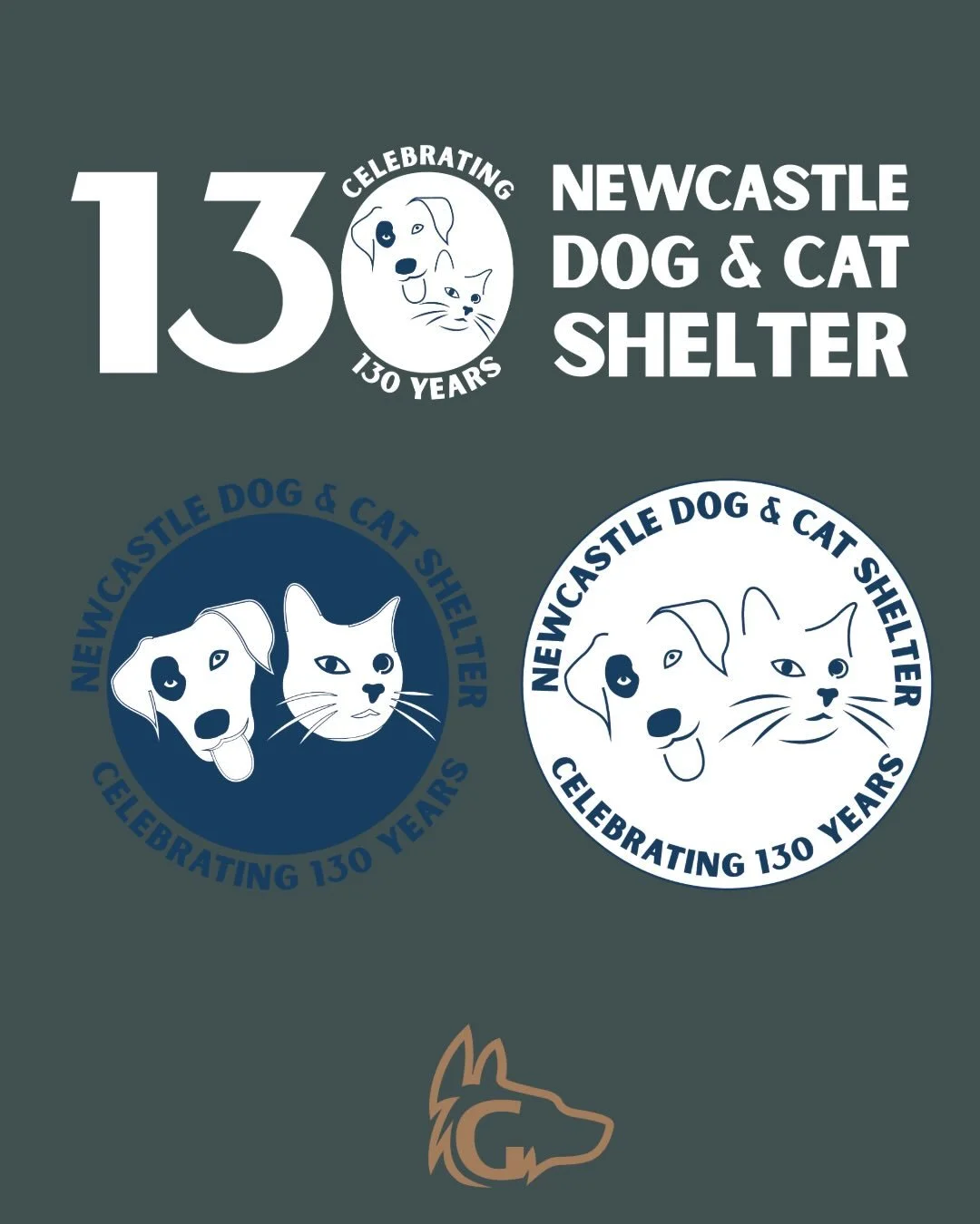 Working with @newcastledogandcatshelter on their &lsquo;130 for 130&rsquo; project was such an honour and I loved having the opportunity to meet and support the lovely staff (and beautiful animals of course) 
We created an updated version of their wo