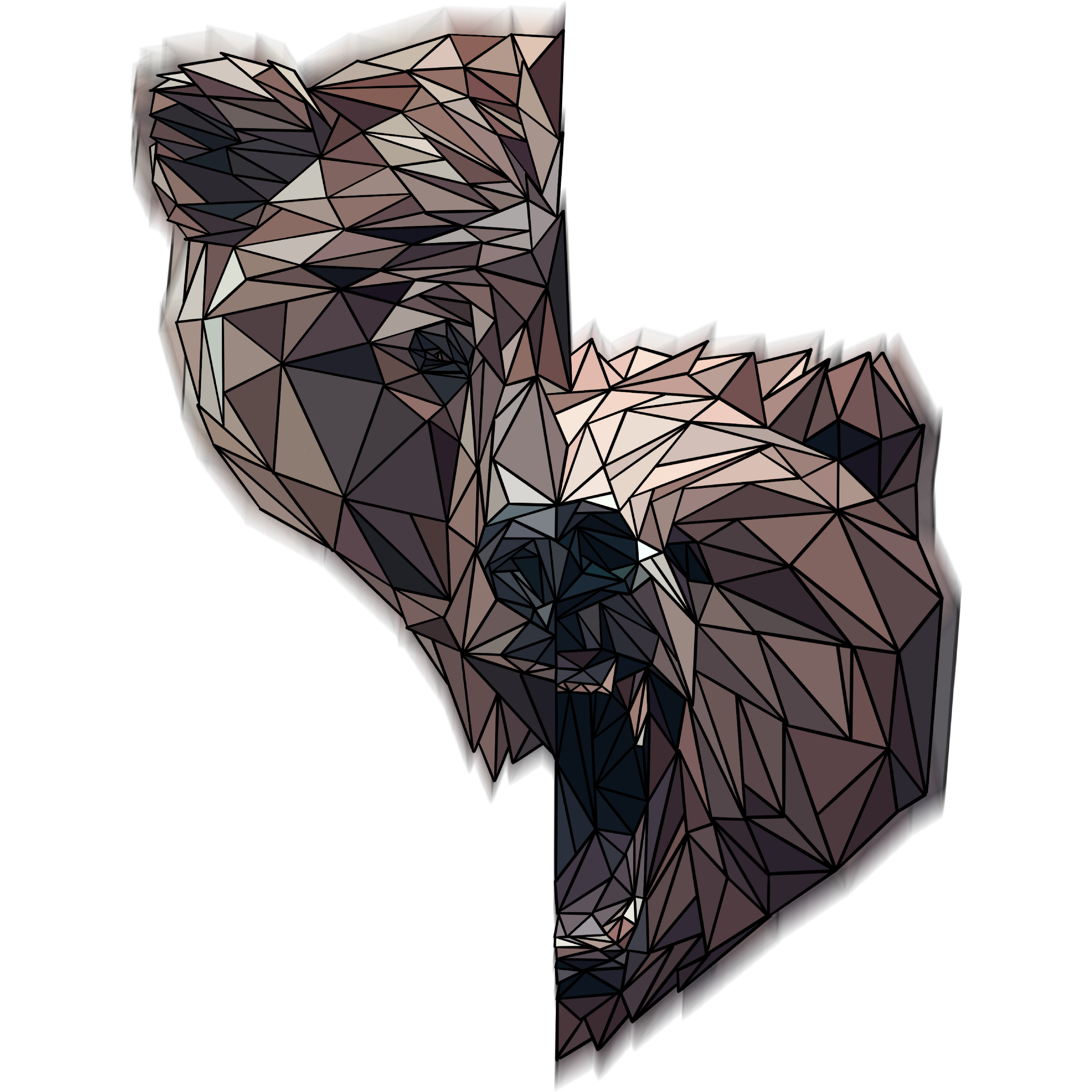 Split bear.png