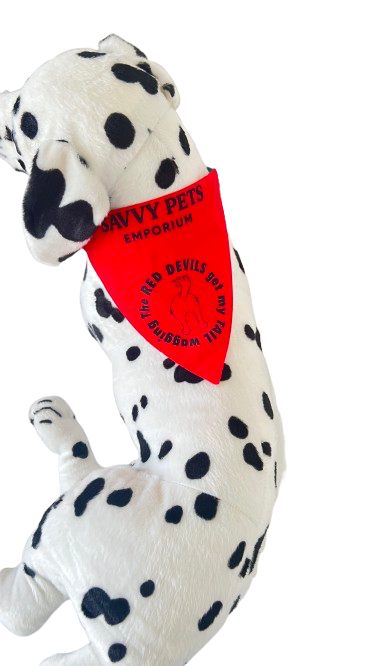 IMG_3205.png