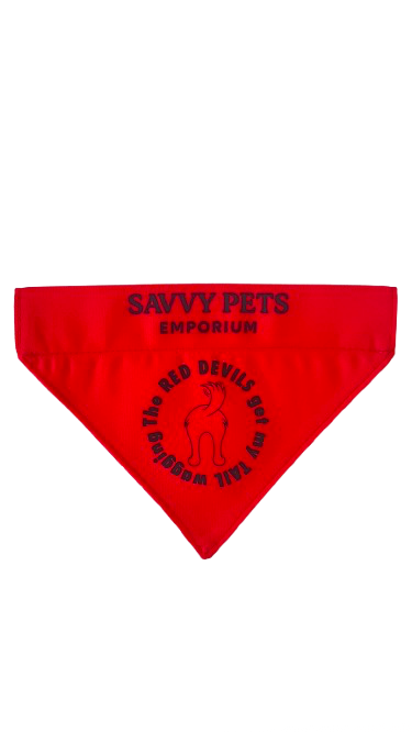 Manchester United Dog Bandana