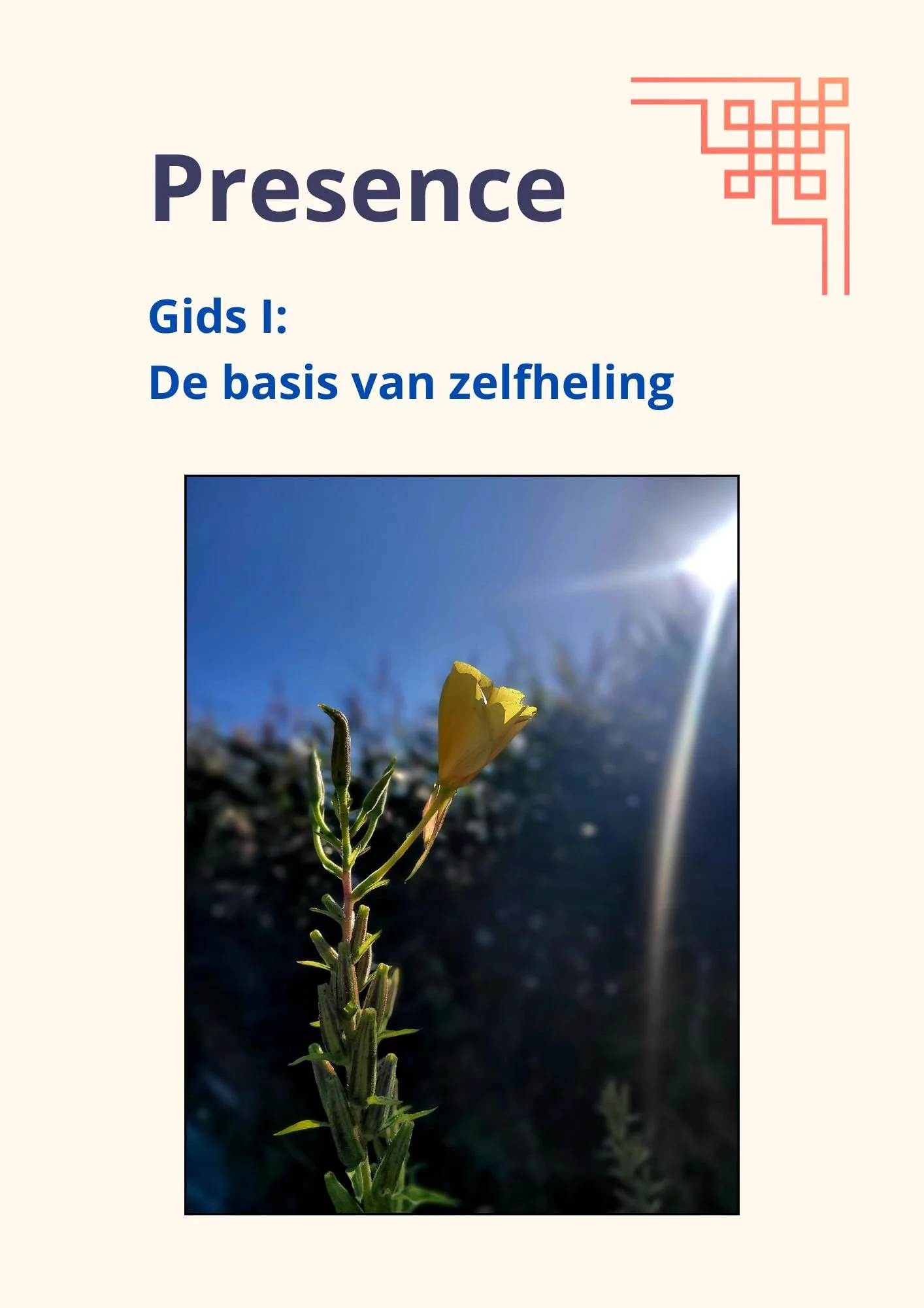 Gids presence - de basis van zelfheling