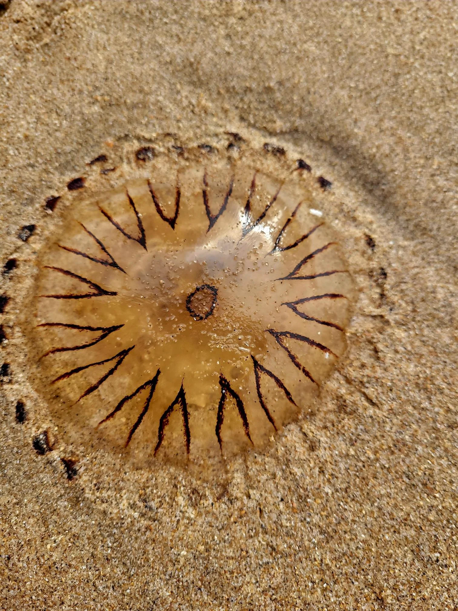Abstract symbol on the beach as a symbol of despair and the longing to escape