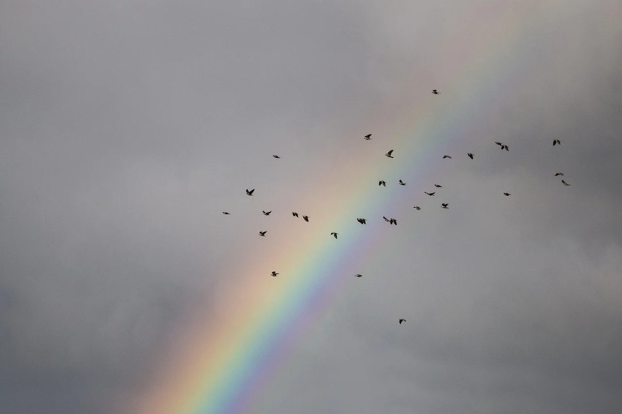 Sky with a rainbow and birds as a symbol of the cyclical movement of consciousness between contraction and expansion