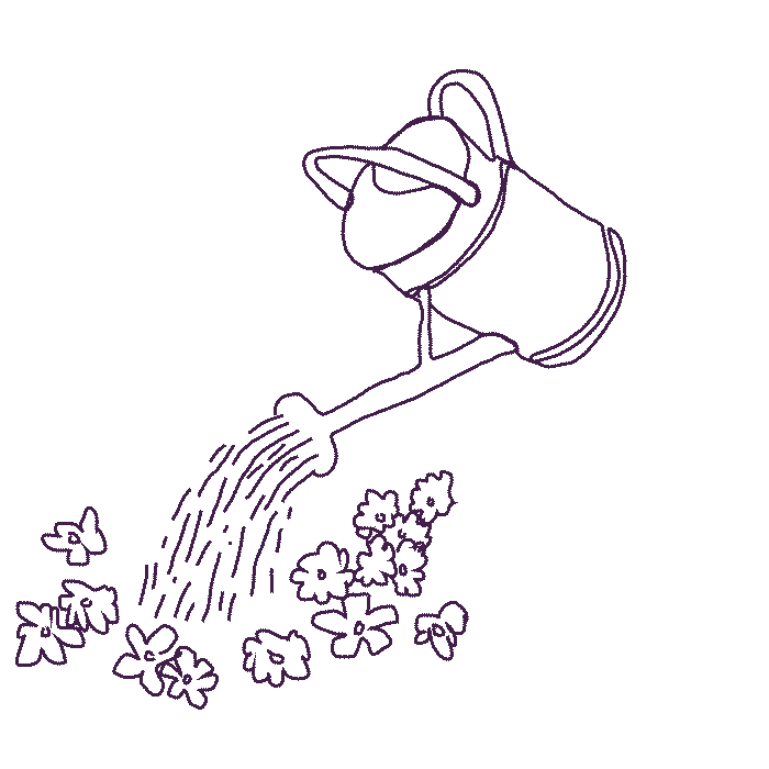 Outline drawing of a watering can pouring water over flowers