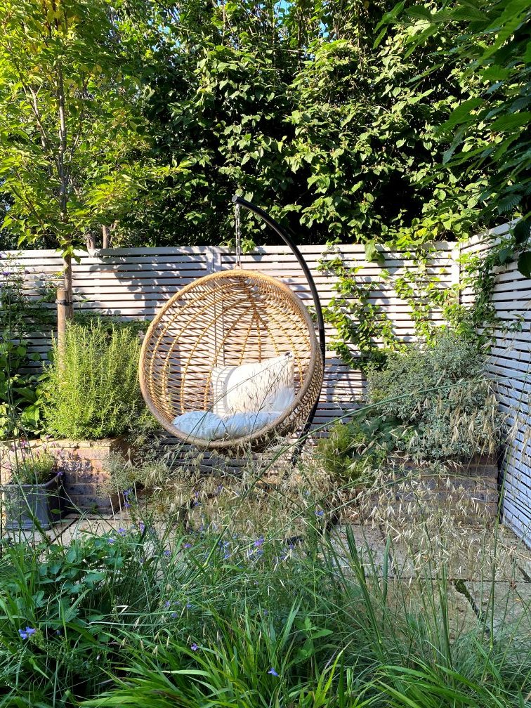 Outdoor garden with hanging rattan swing chair with white cushion, surrounded by green plants and trees, and a white slat fence in the background.