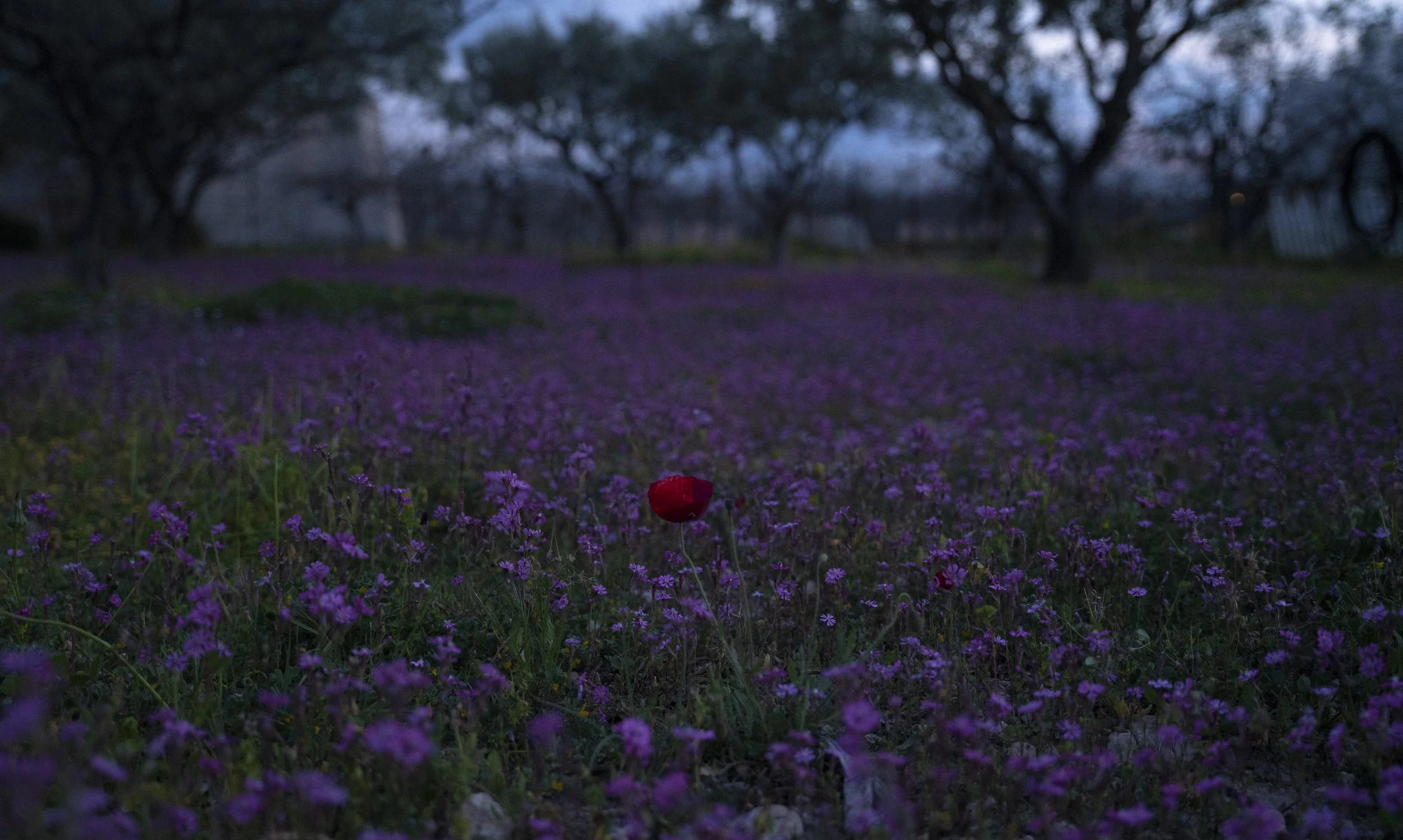 DSC04375_RT3_no_light.jpg