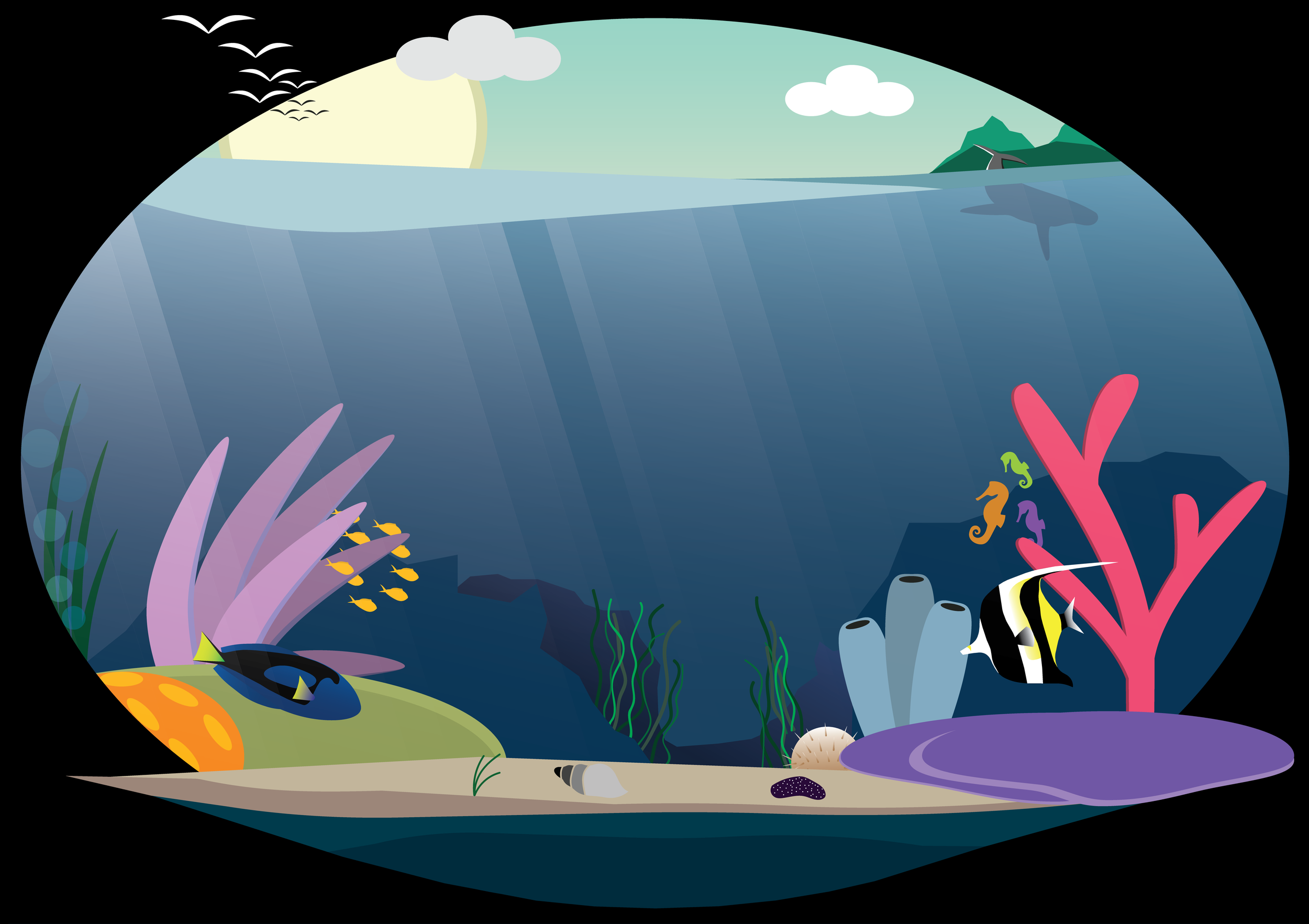 reef