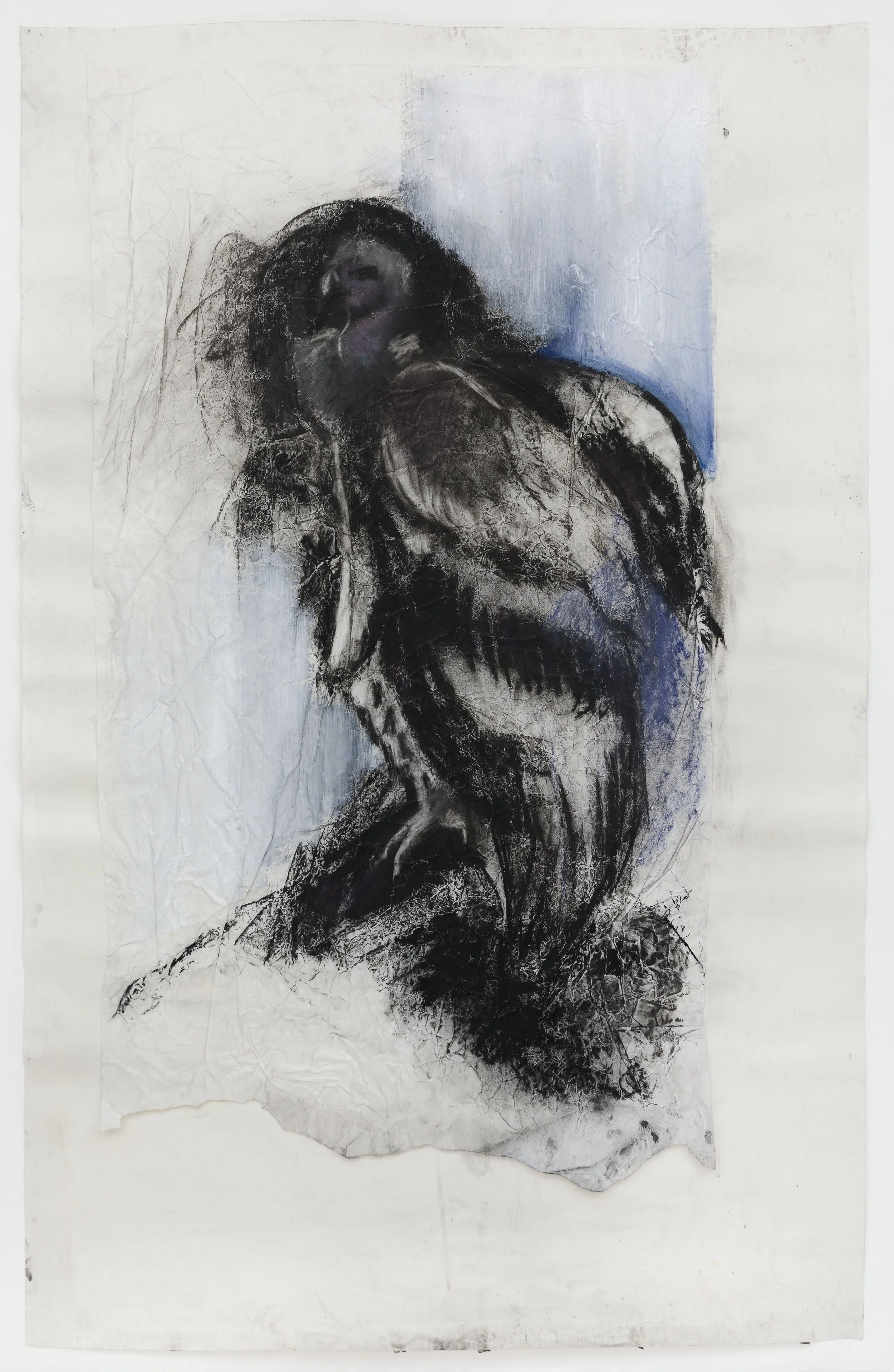 Edie Flowers, Large Drawing 3 (TBC).jpg