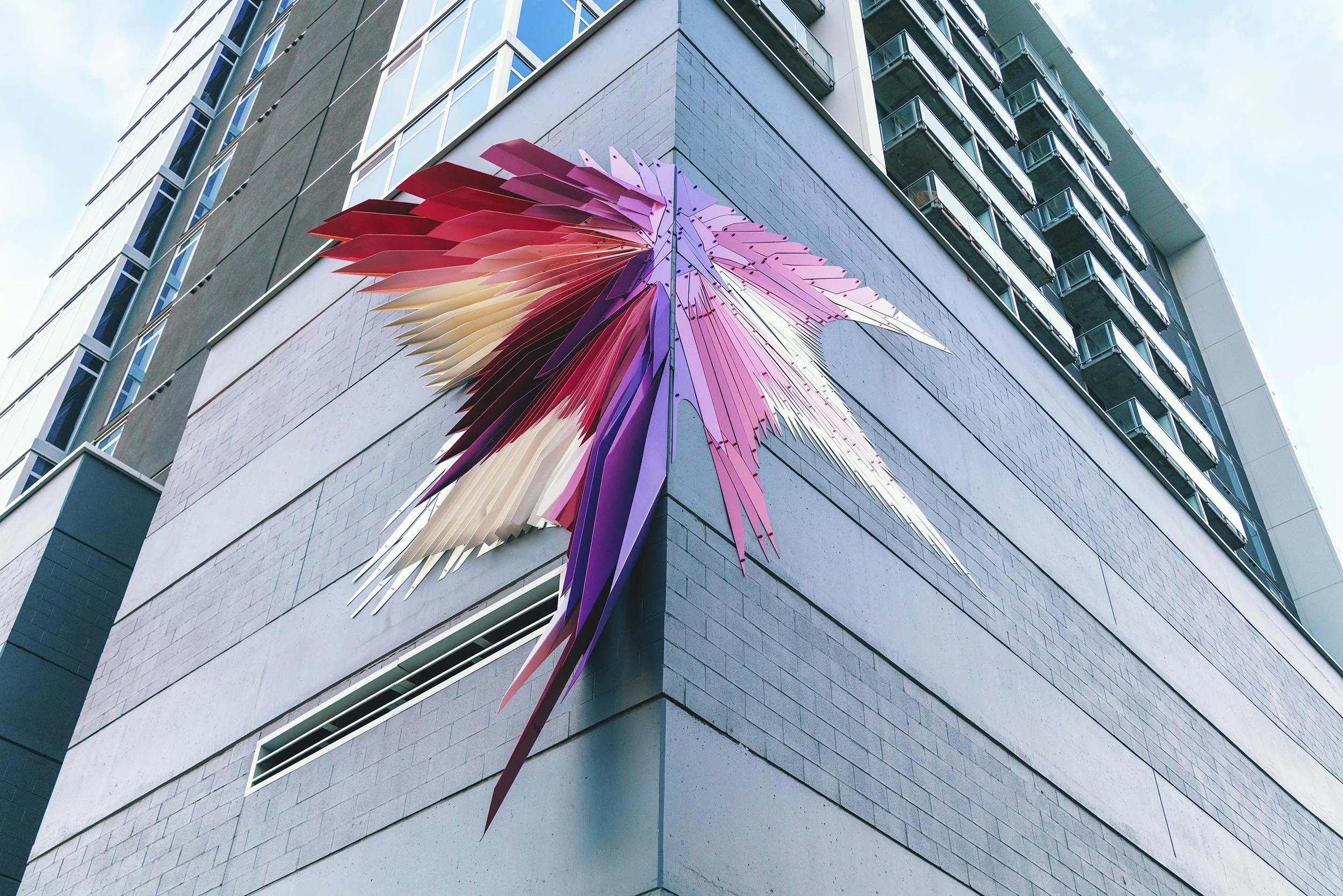 Photo Courtesy of Volkan Alkanoglu