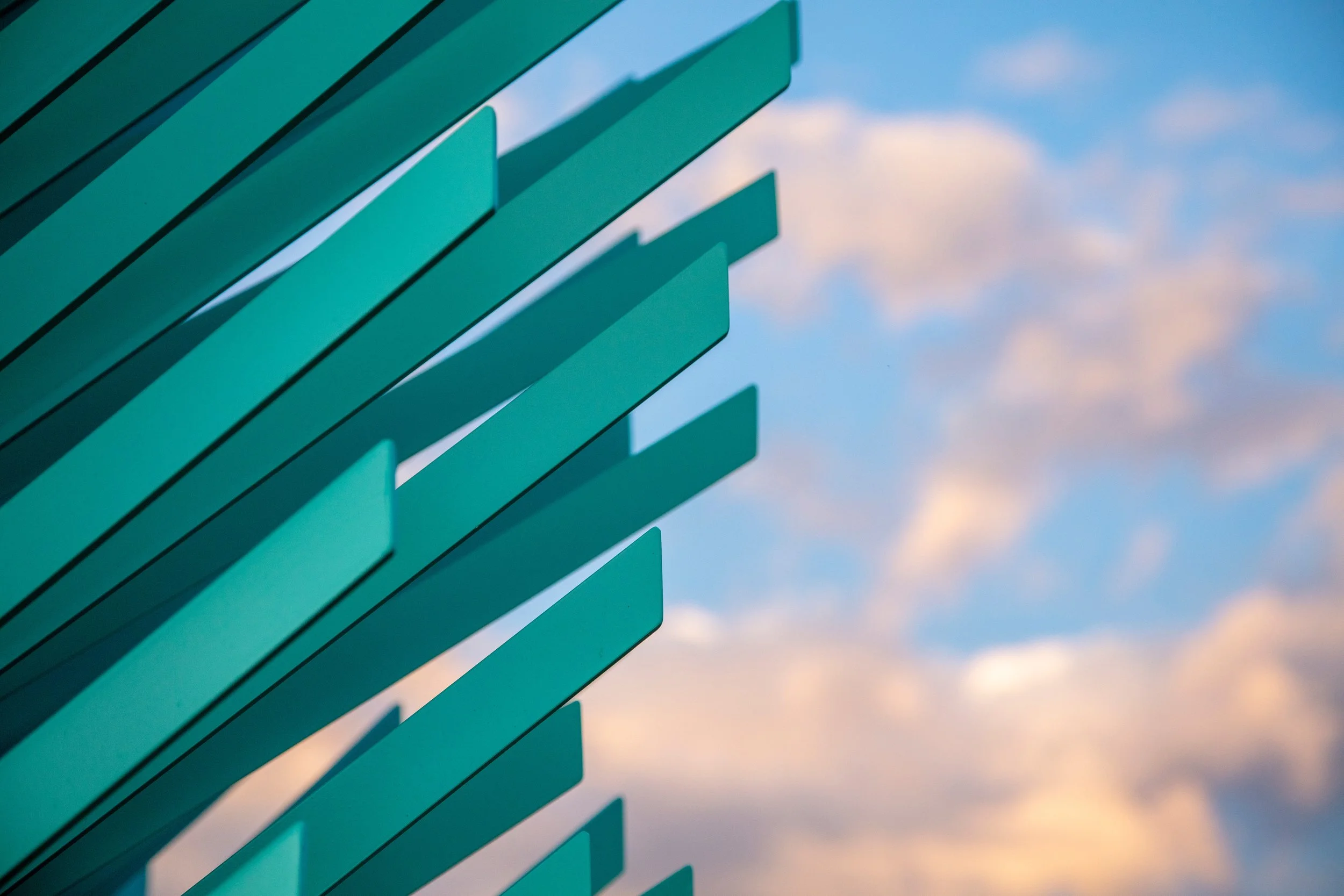 Photo by A J Brown, Courtesy of Volkan Alkanoglu