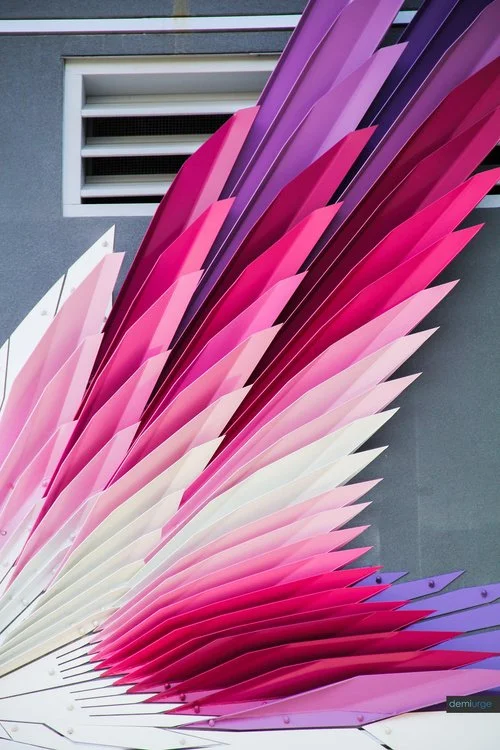 Photo Courtesy of Volkan Alkanoglu