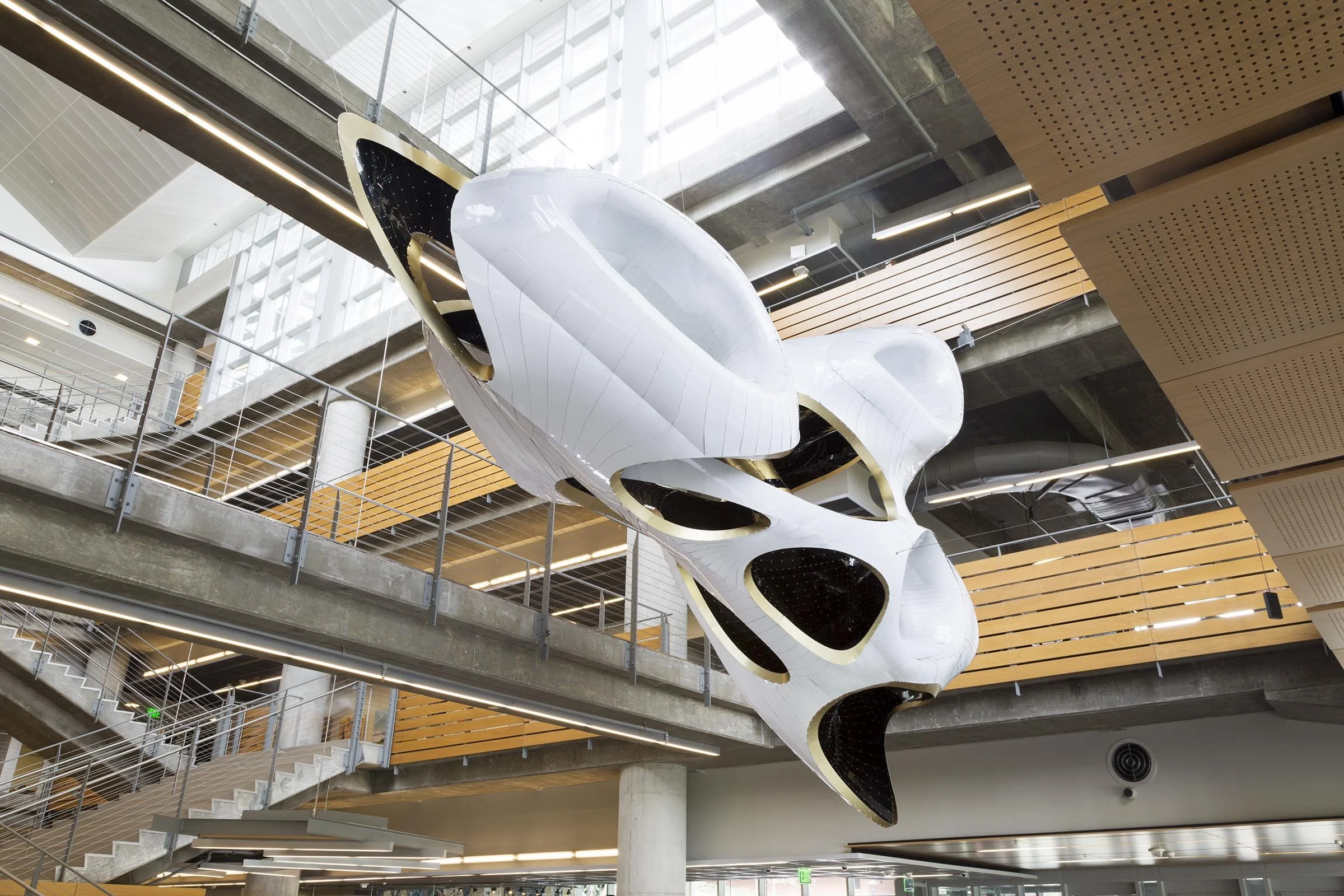 Photo by Patrick Heagney, Courtesy of Volkan Alkanoglu