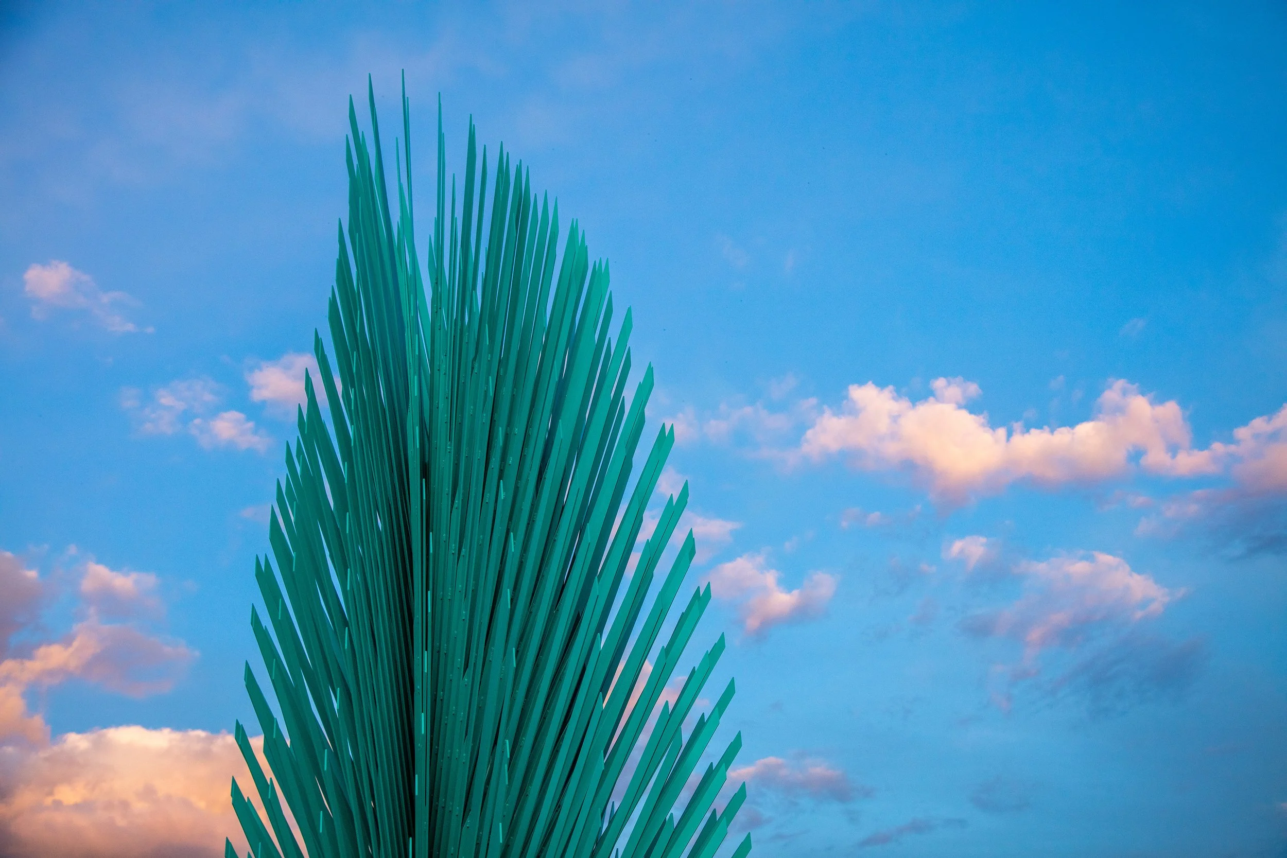 Photo by A J Brown, Courtesy of Volkan Alkanoglu