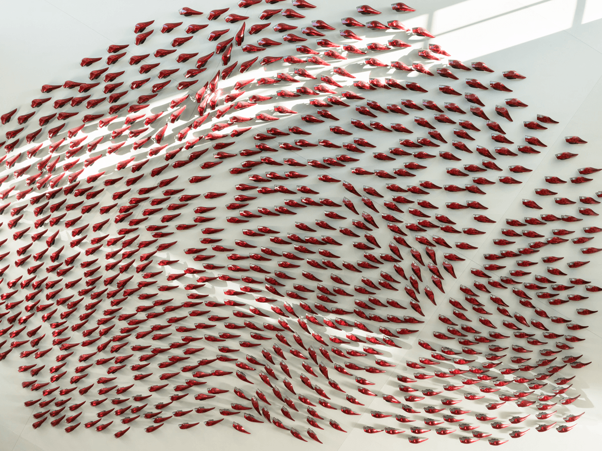 Photo Courtesy of Amy Landesberg