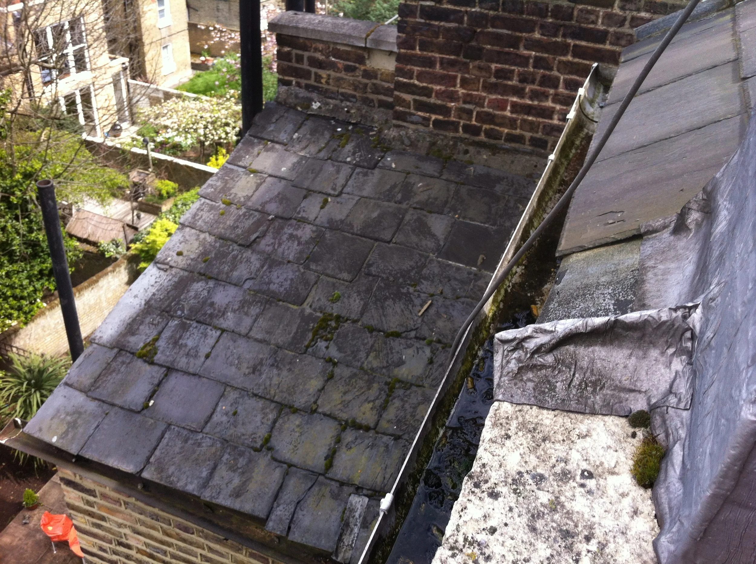 Iphone picture 28041 300.JPG