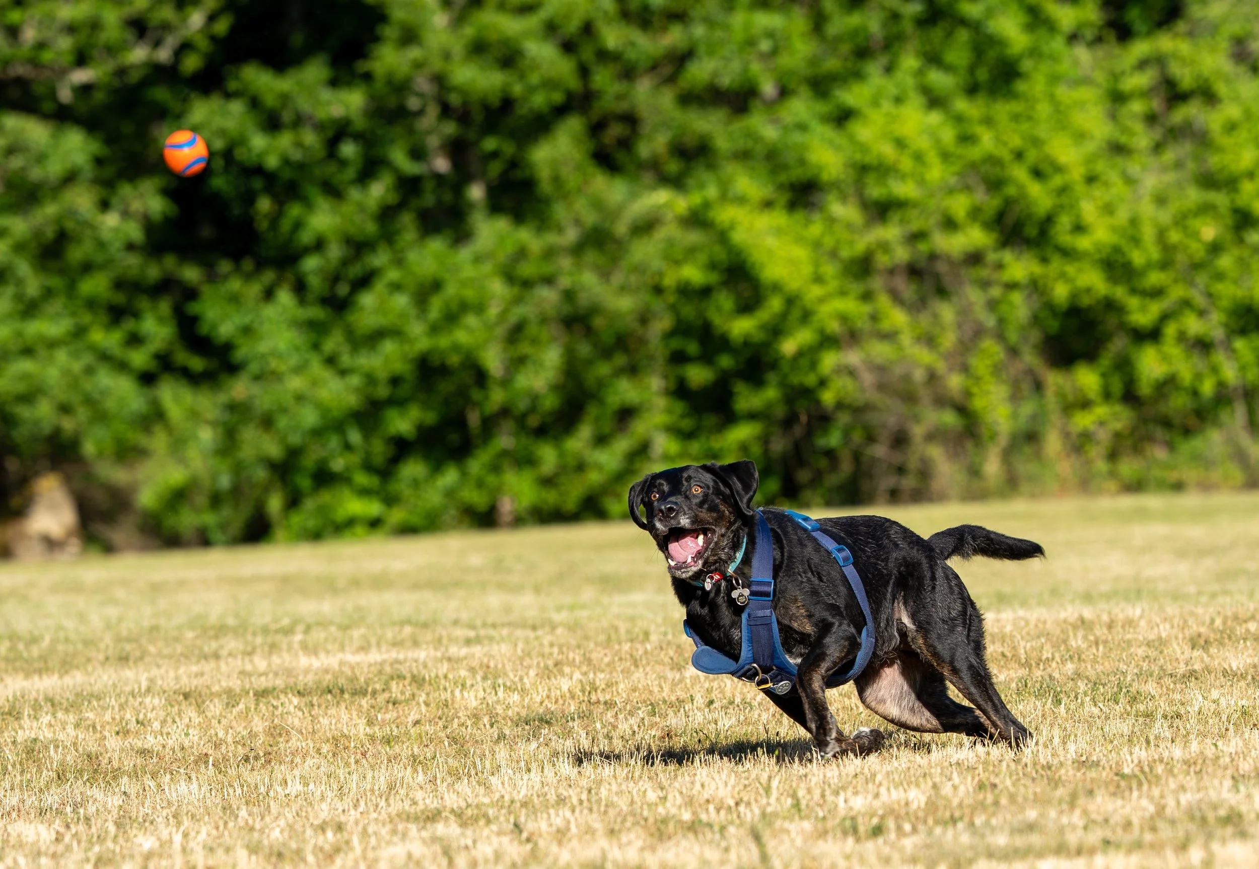 Myla and Arlo-4.jpg