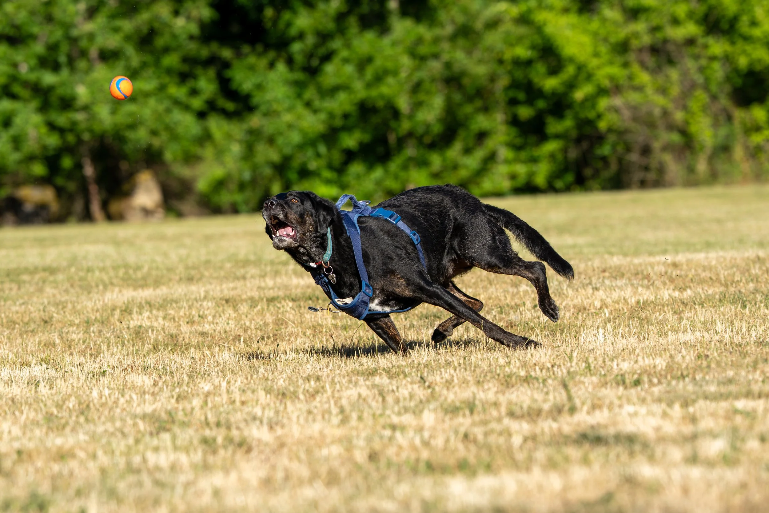 Myla and Arlo-3.jpg