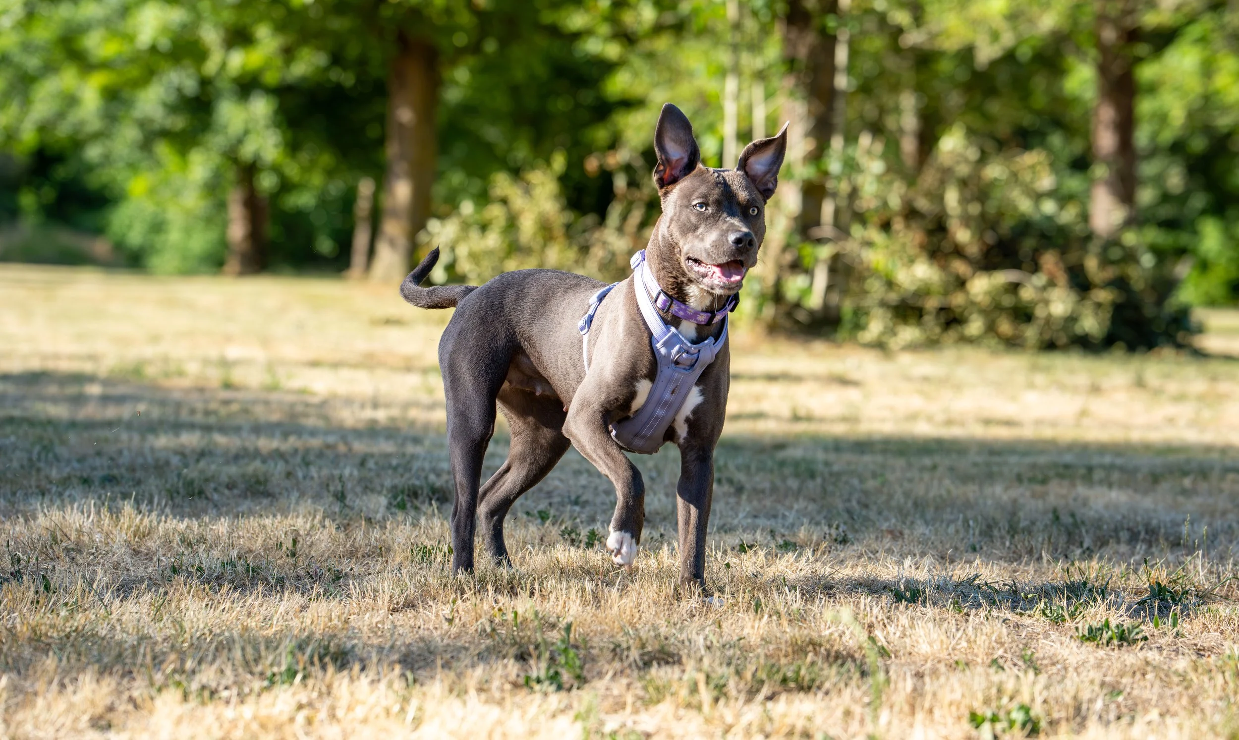 Myla and Arlo-6.jpg