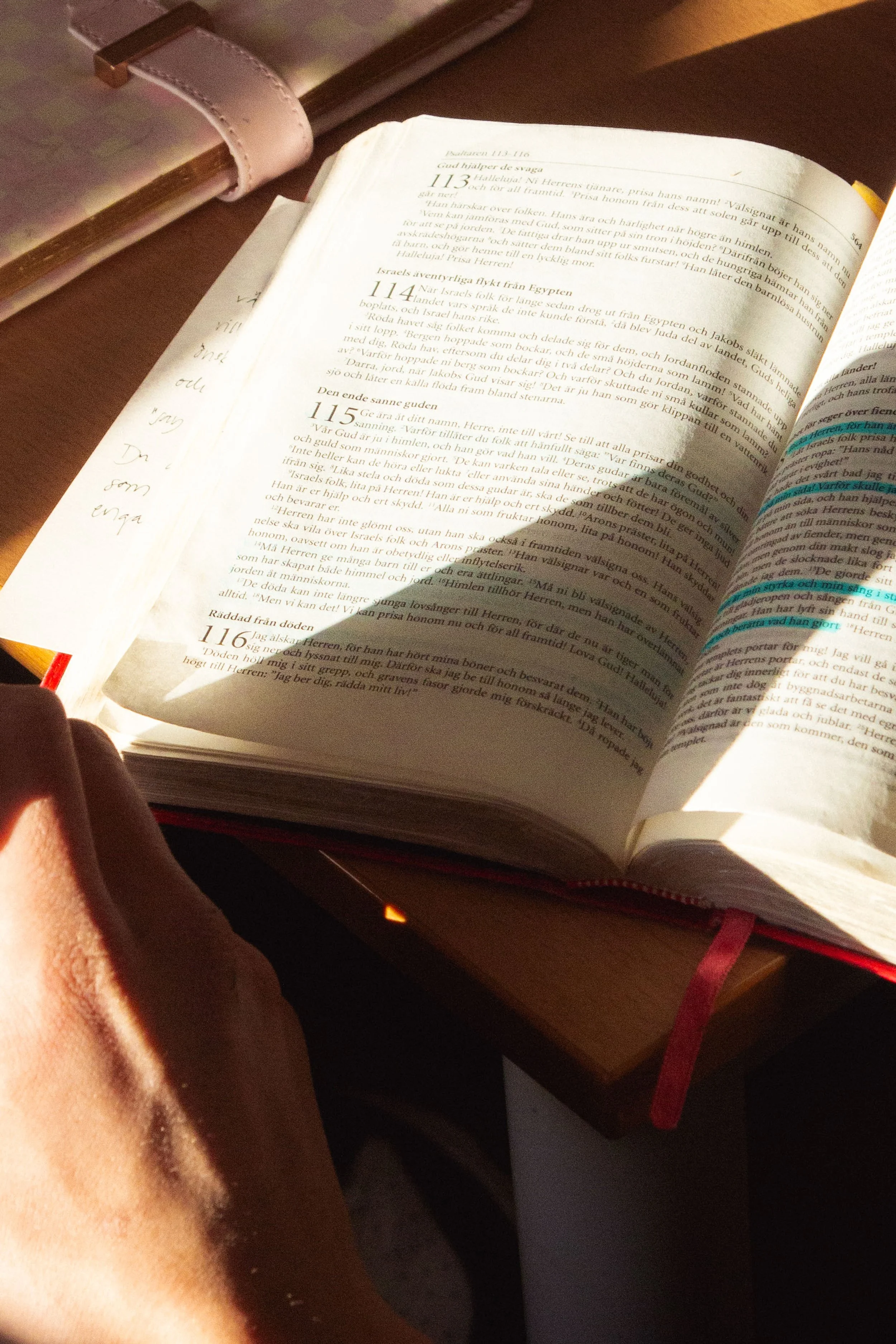 Det börjar hos Jesus