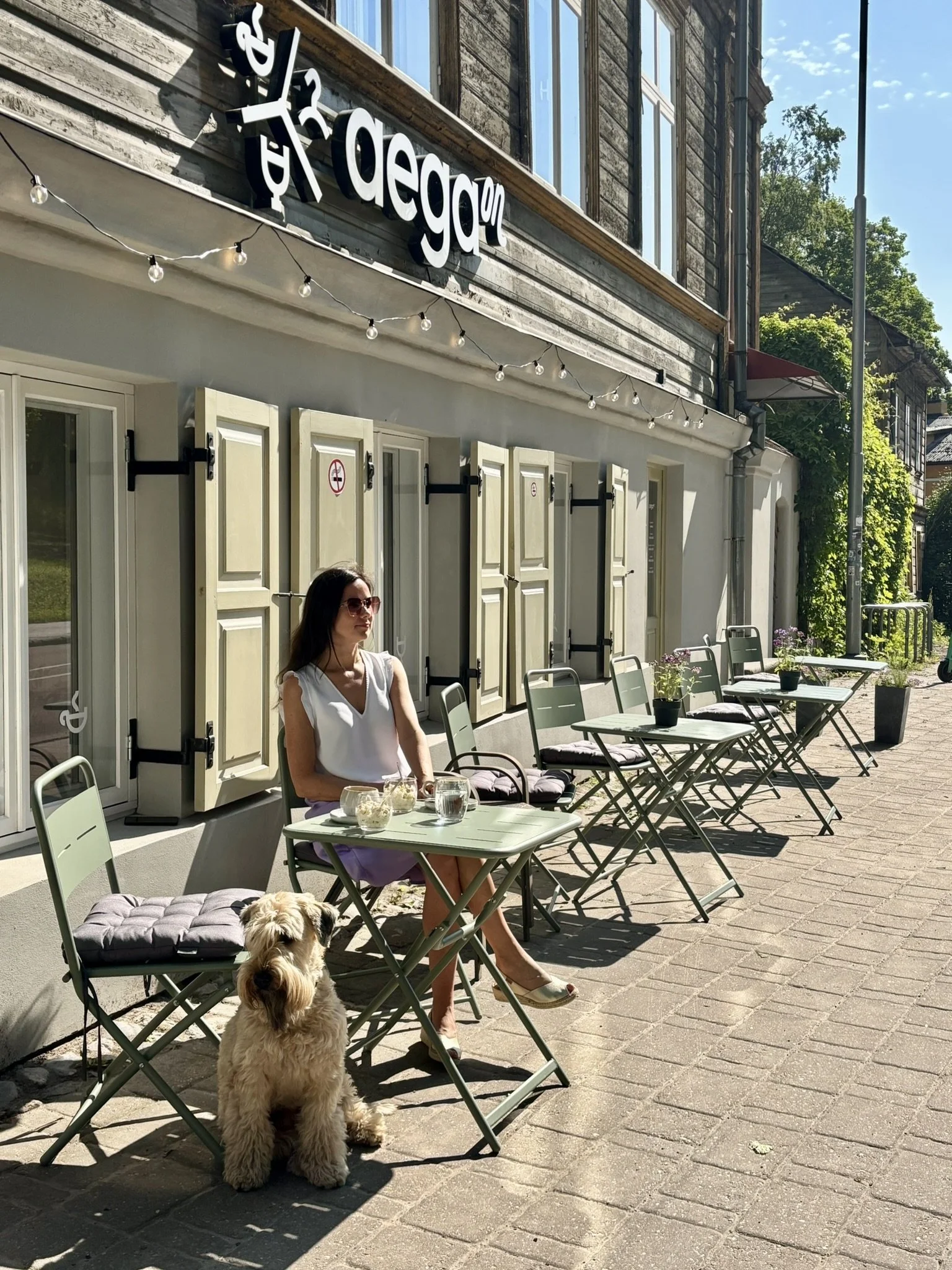 Woman sitting at an outdoor café table with a dog beside her, in front of a building with closed window shutters and a sign that reads 'de rega.'