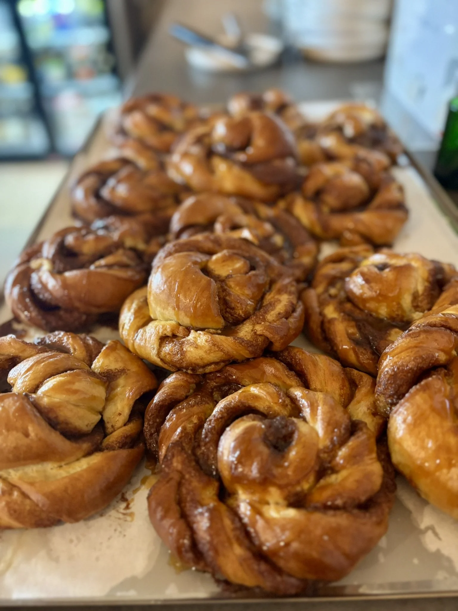 A tray of freshly baked cinnamon rolls drizzled with glaze, arranged in rows.
