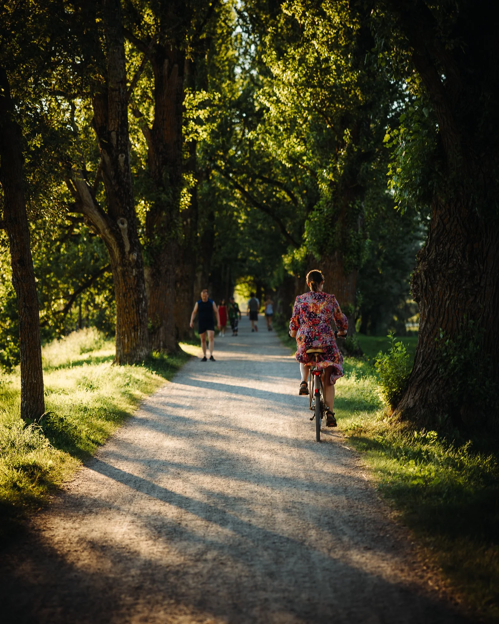 People walking and biking along a shaded tree-lined dirt path in a park