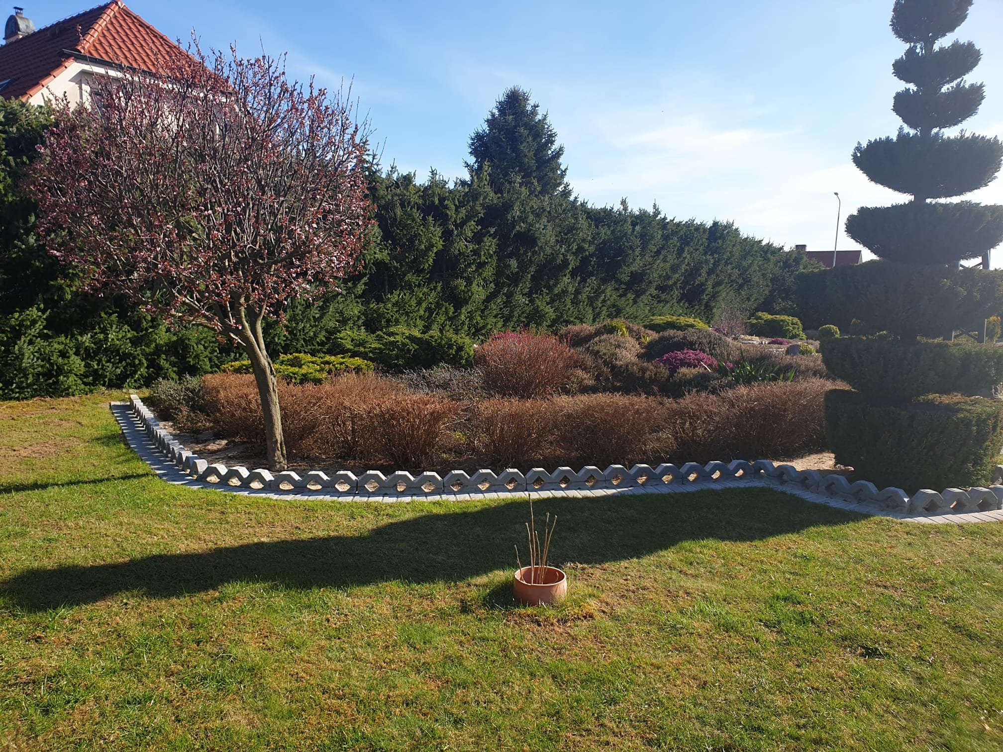 Gartenplanung und -Bau