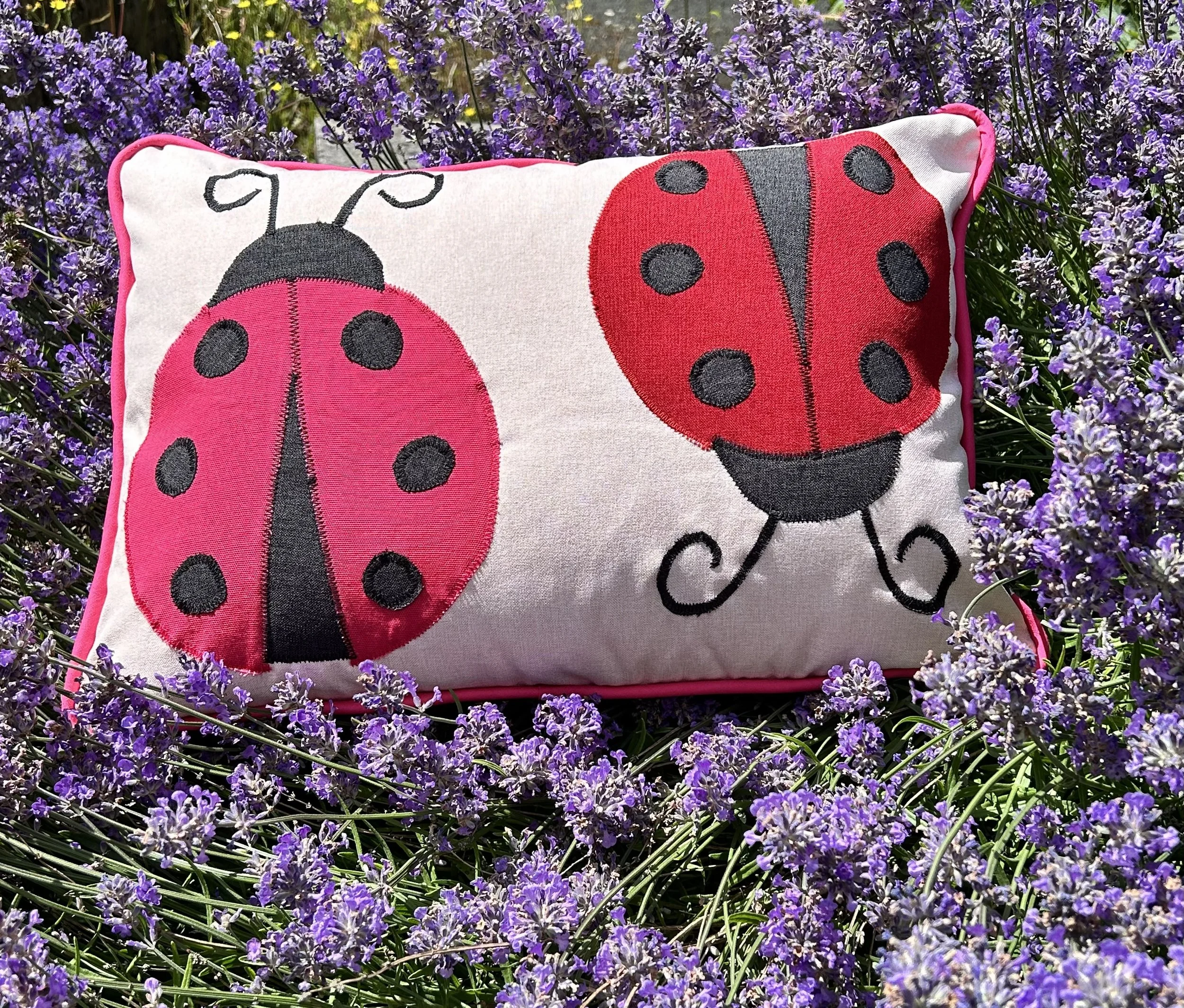 Two Ladybirds