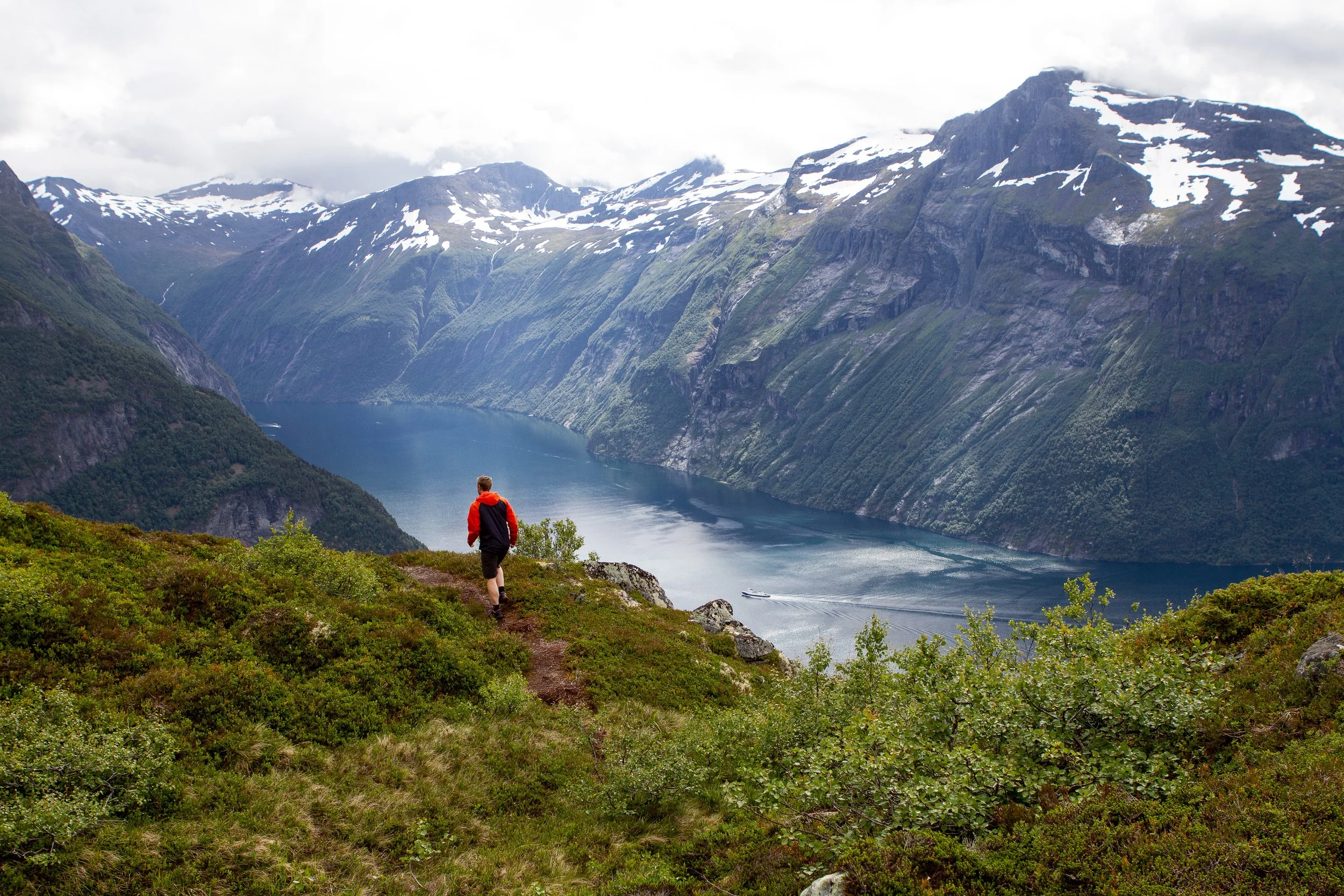 The New Run Wild Movement