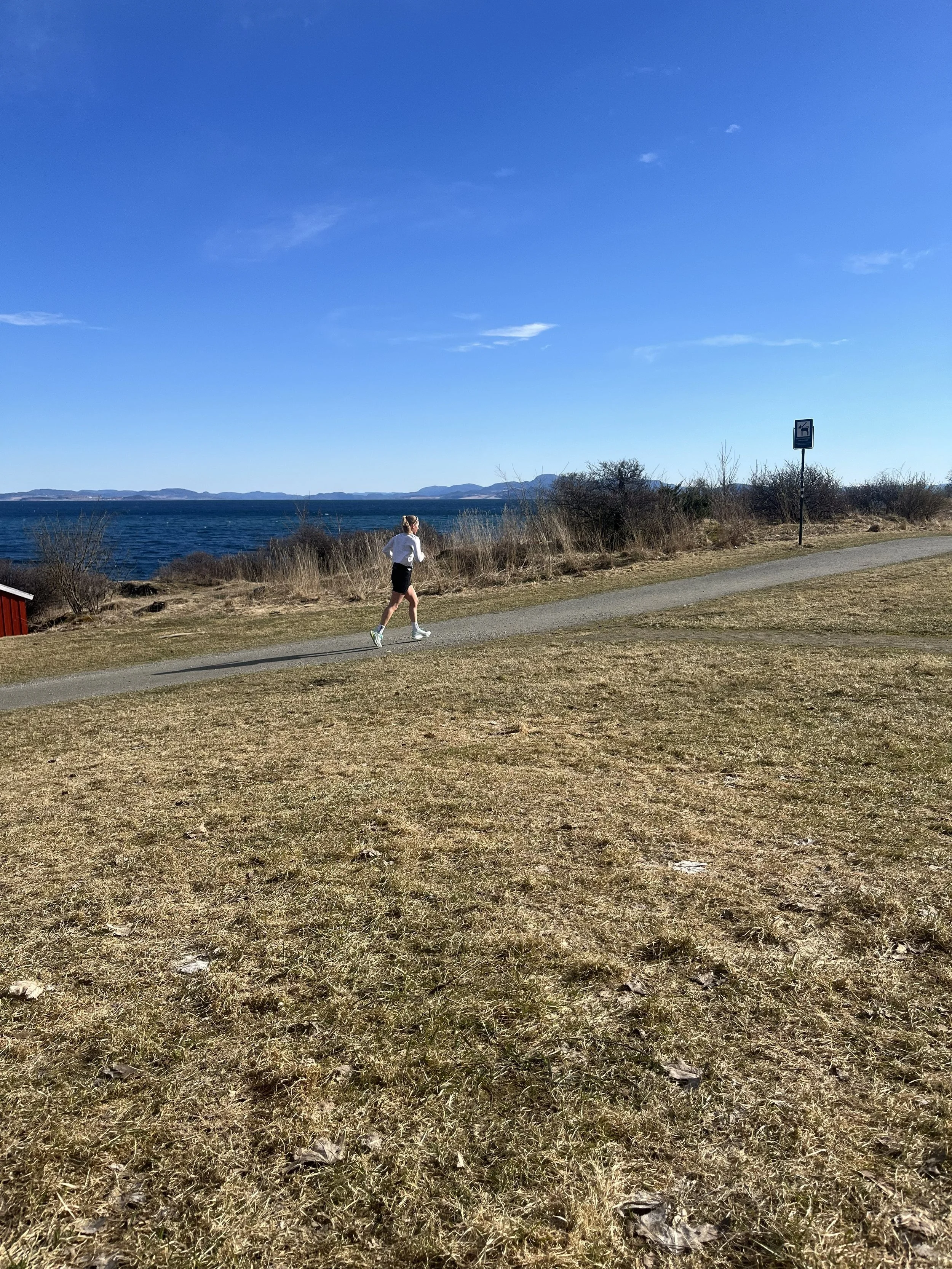 ecotrail-trondheim-ladestien.jpg