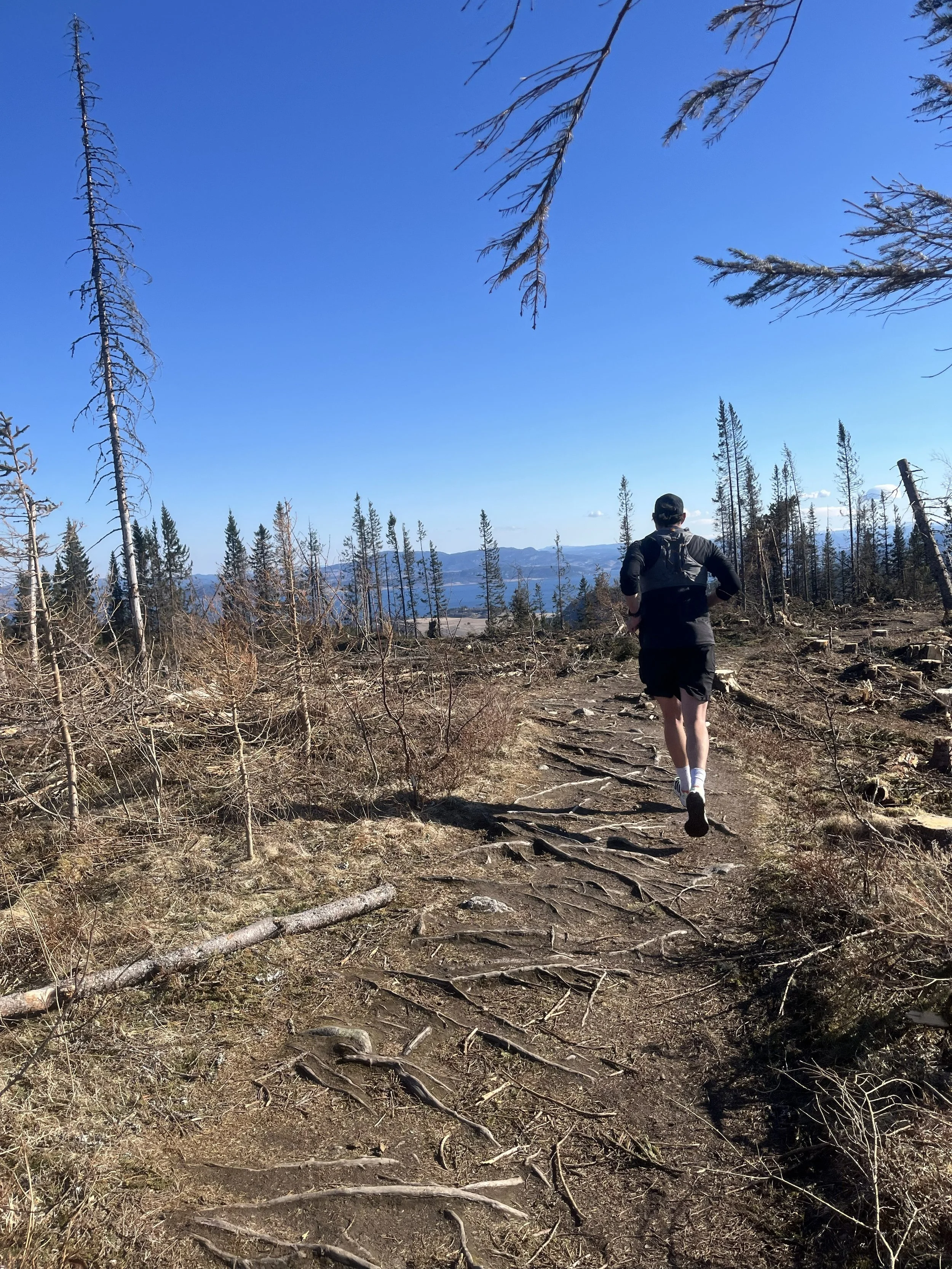 Ecotrail Trondheim 33K - Preview